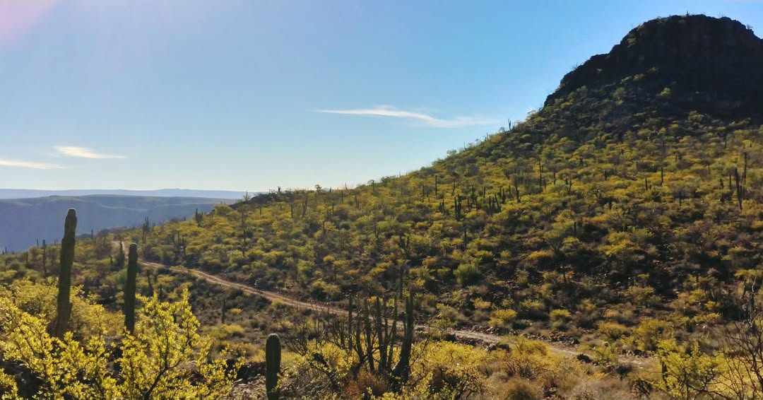 baja divide , bikepacking baja , baja-proof