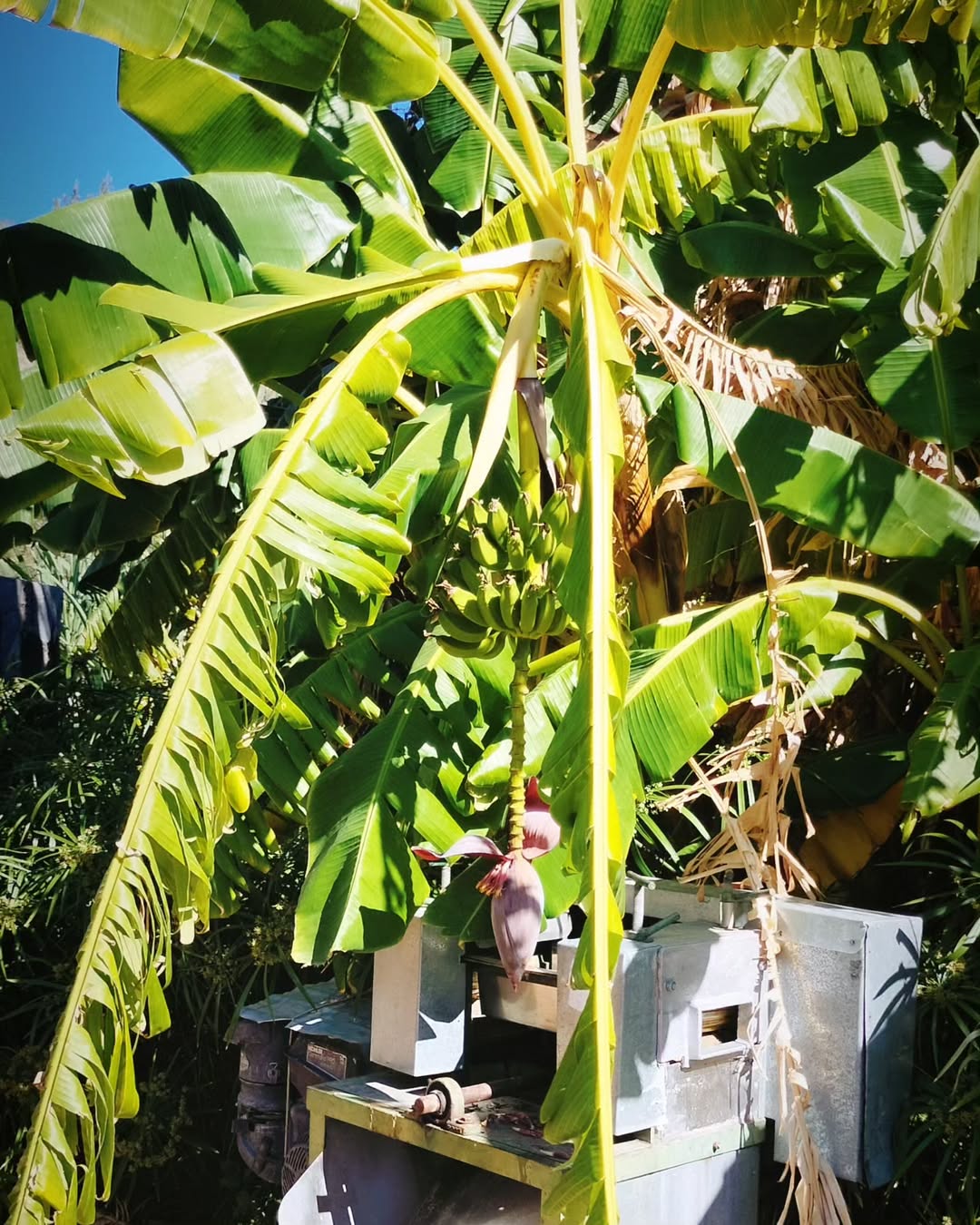 baja divide , bikepacking baja , baja-proof