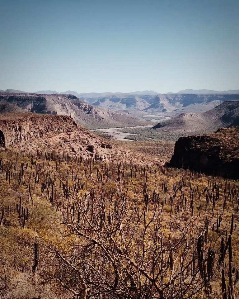 baja divide , bikepacking baja , baja-proof