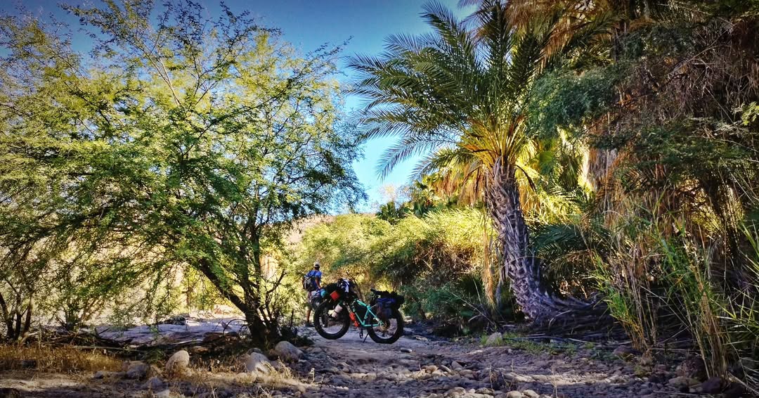 baja divide , bikepacking baja , baja-proof
