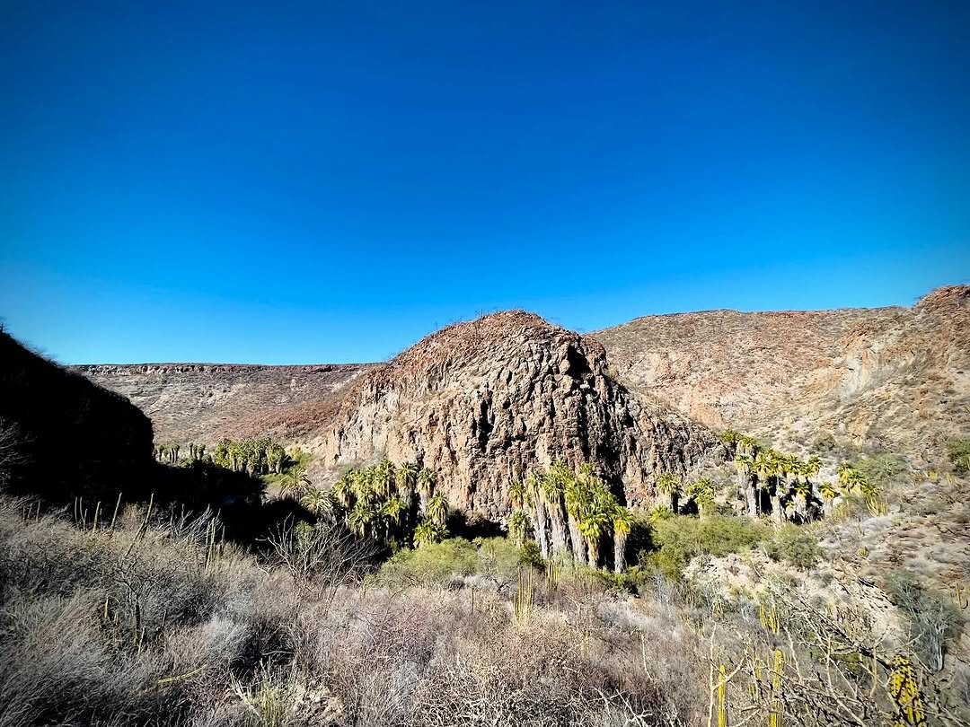 baja divide , bikepacking baja , baja-proof