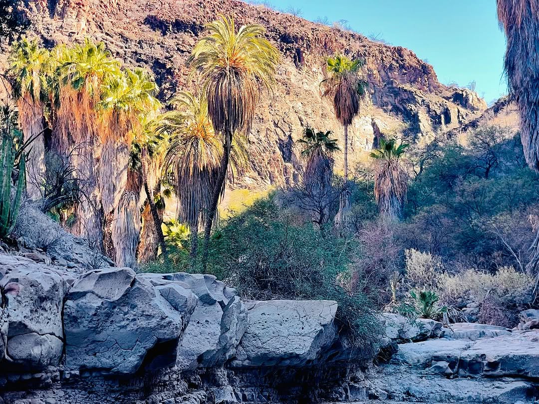 baja divide , bikepacking baja , baja-proof