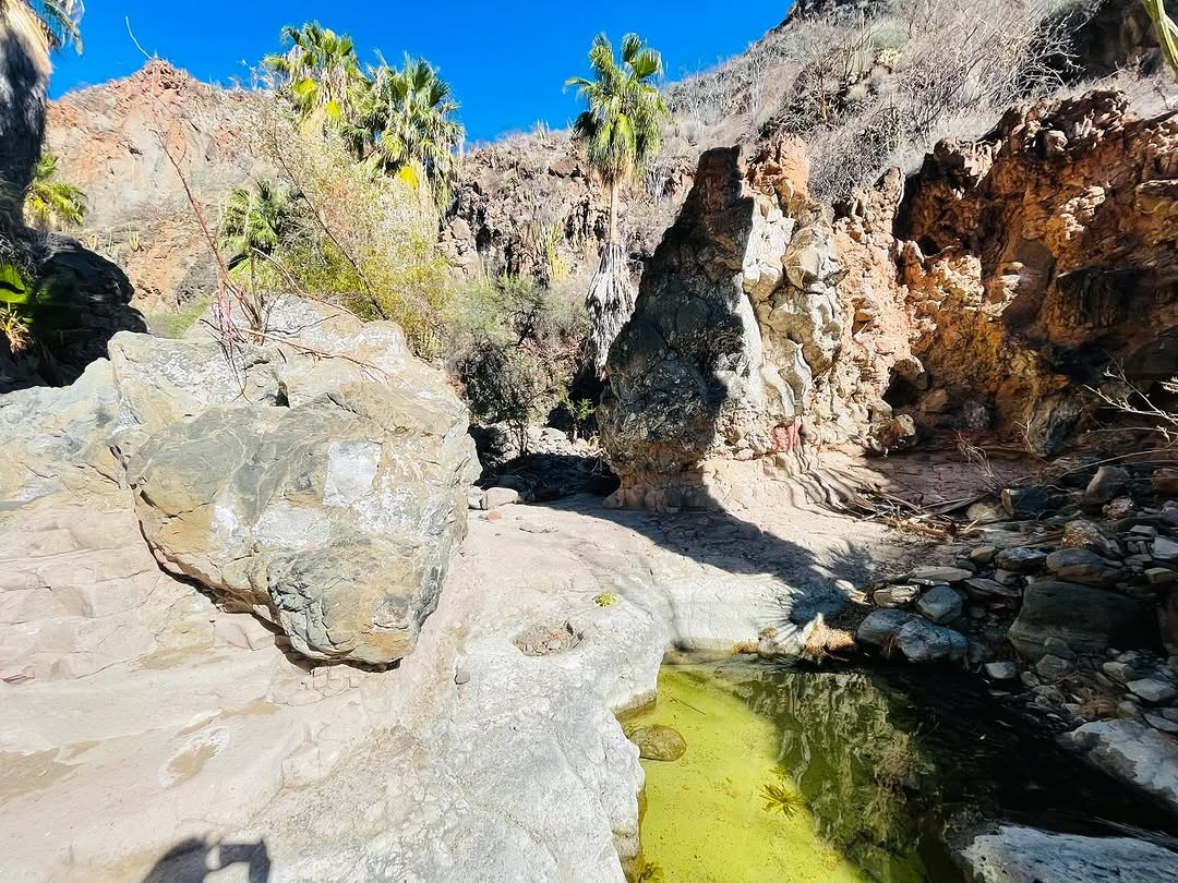 baja divide , bikepacking baja , baja-proof