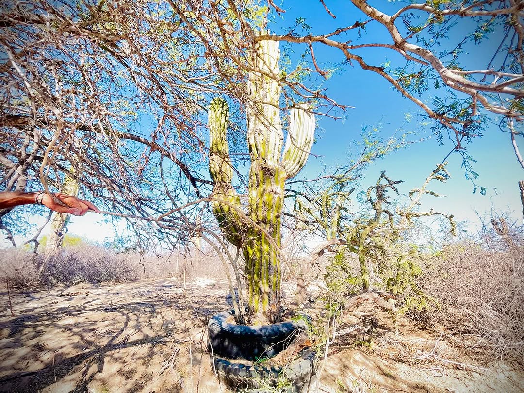 baja divide , bikepacking baja , baja-proof