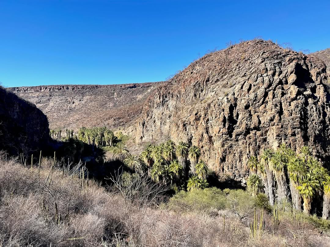 baja divide , bikepacking baja , baja-proof