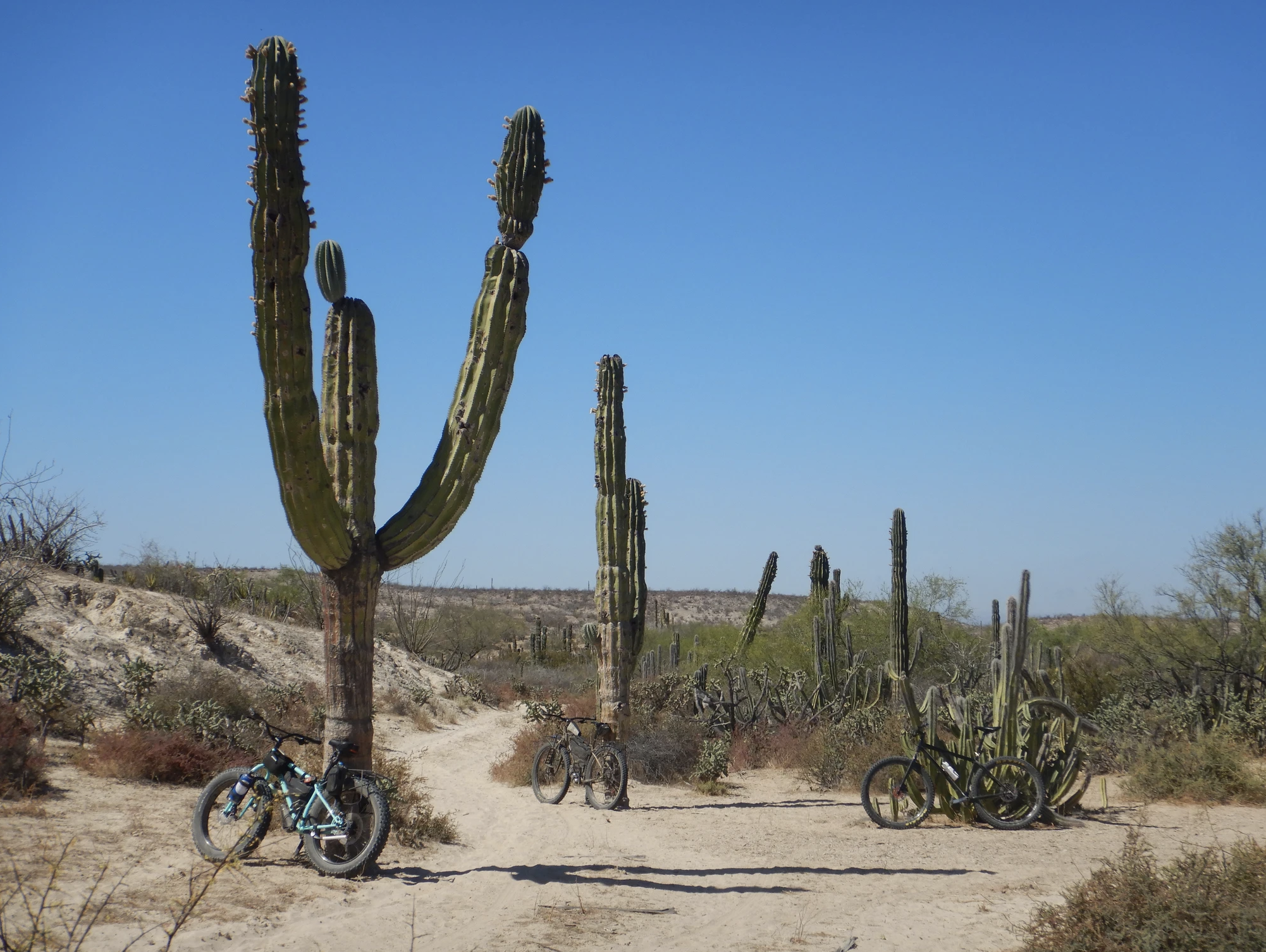 baja divide , bikepacking baja , baja-proof