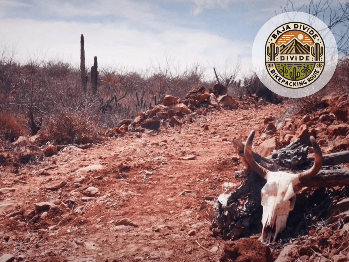 📌 BAJA DIVIDE…is not&nbsp;easy!