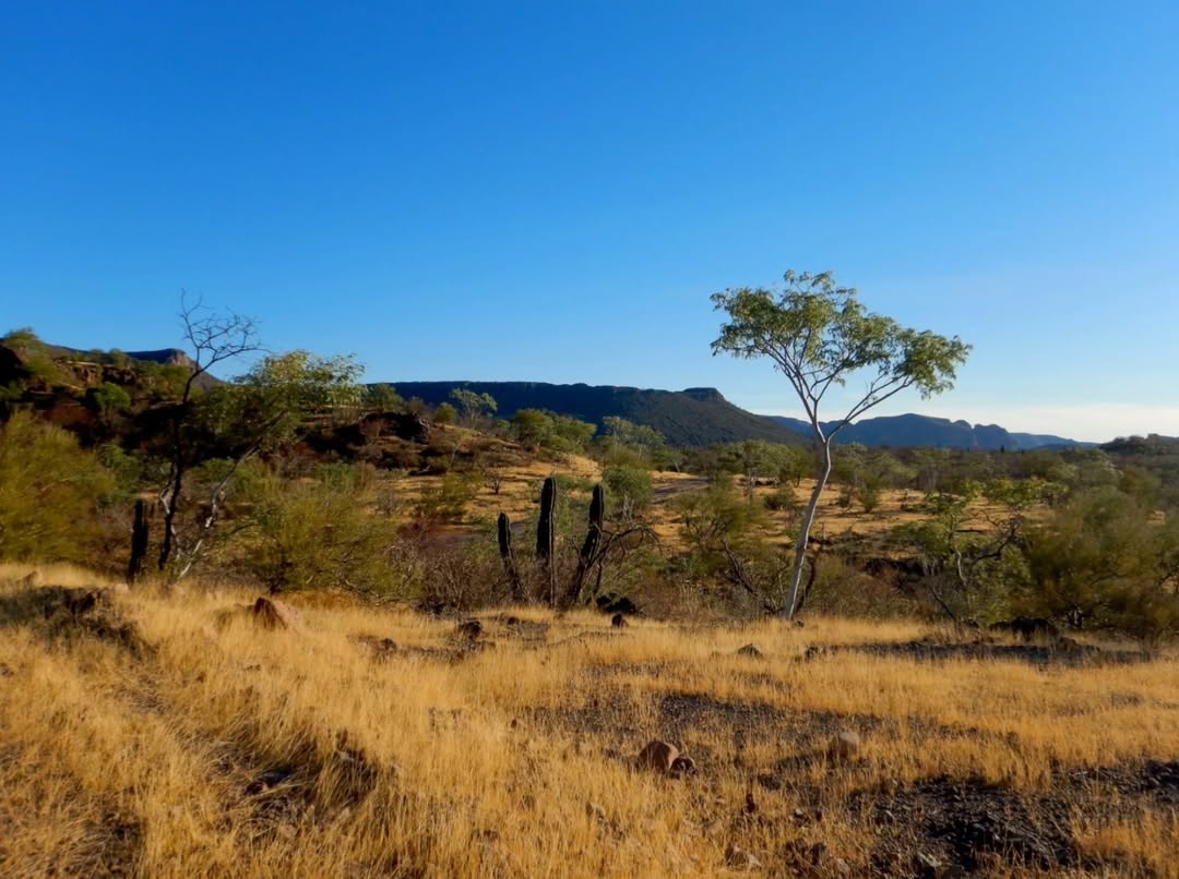 baja divide , bikepacking baja , baja-proof