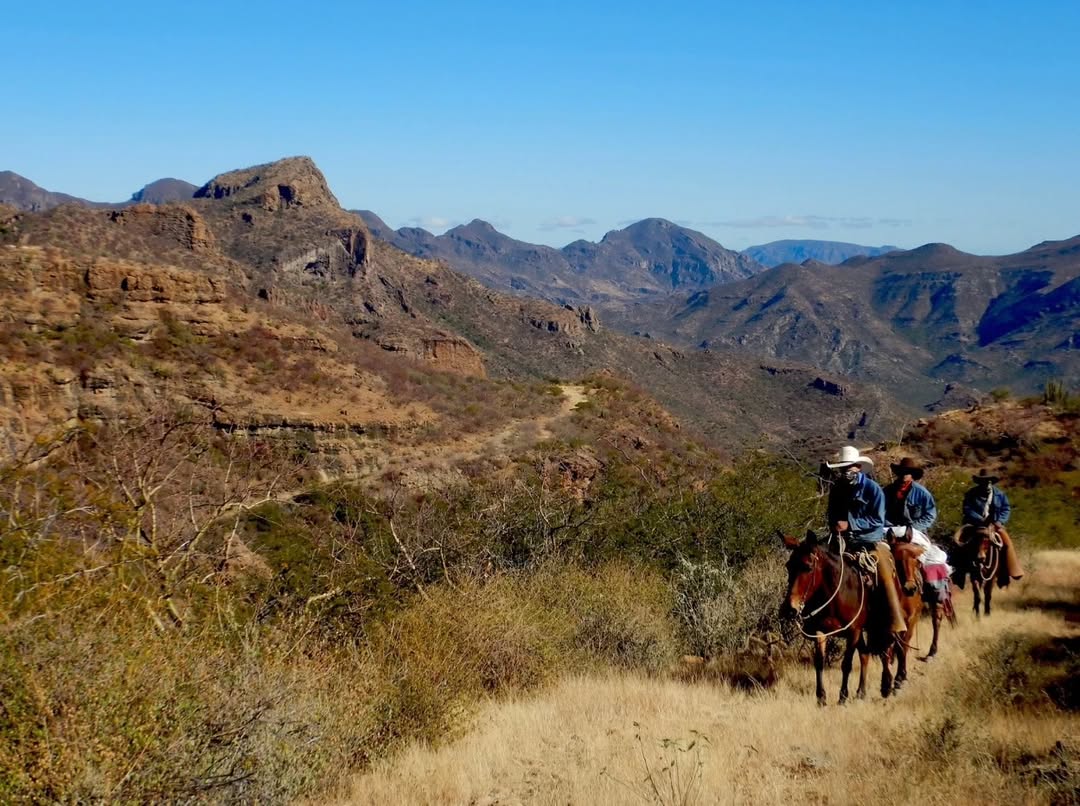 baja divide , bikepacking baja , baja-proof