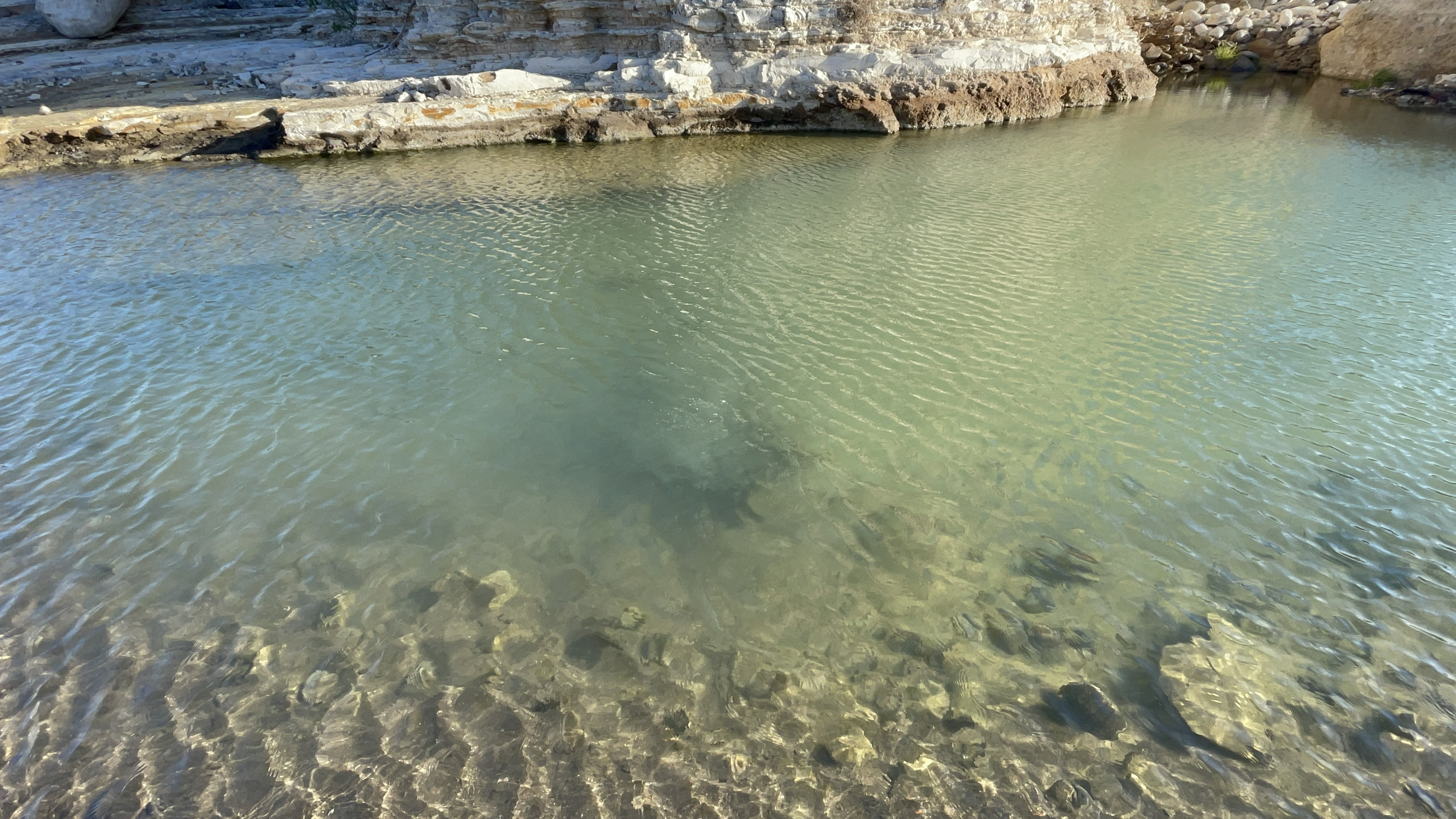 baja divide , bikepacking baja , baja-proof