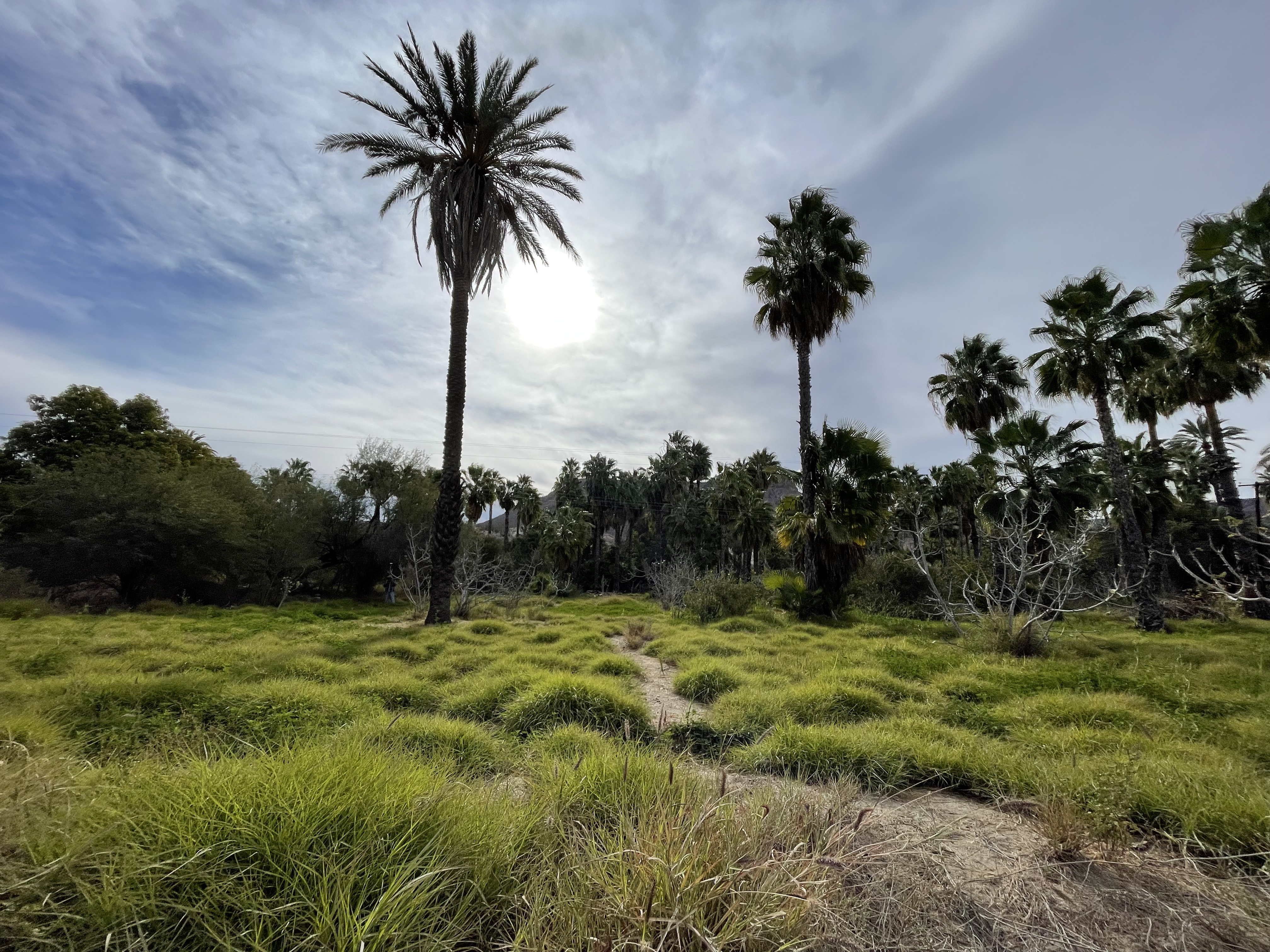 baja divide , bikepacking baja , baja-proof