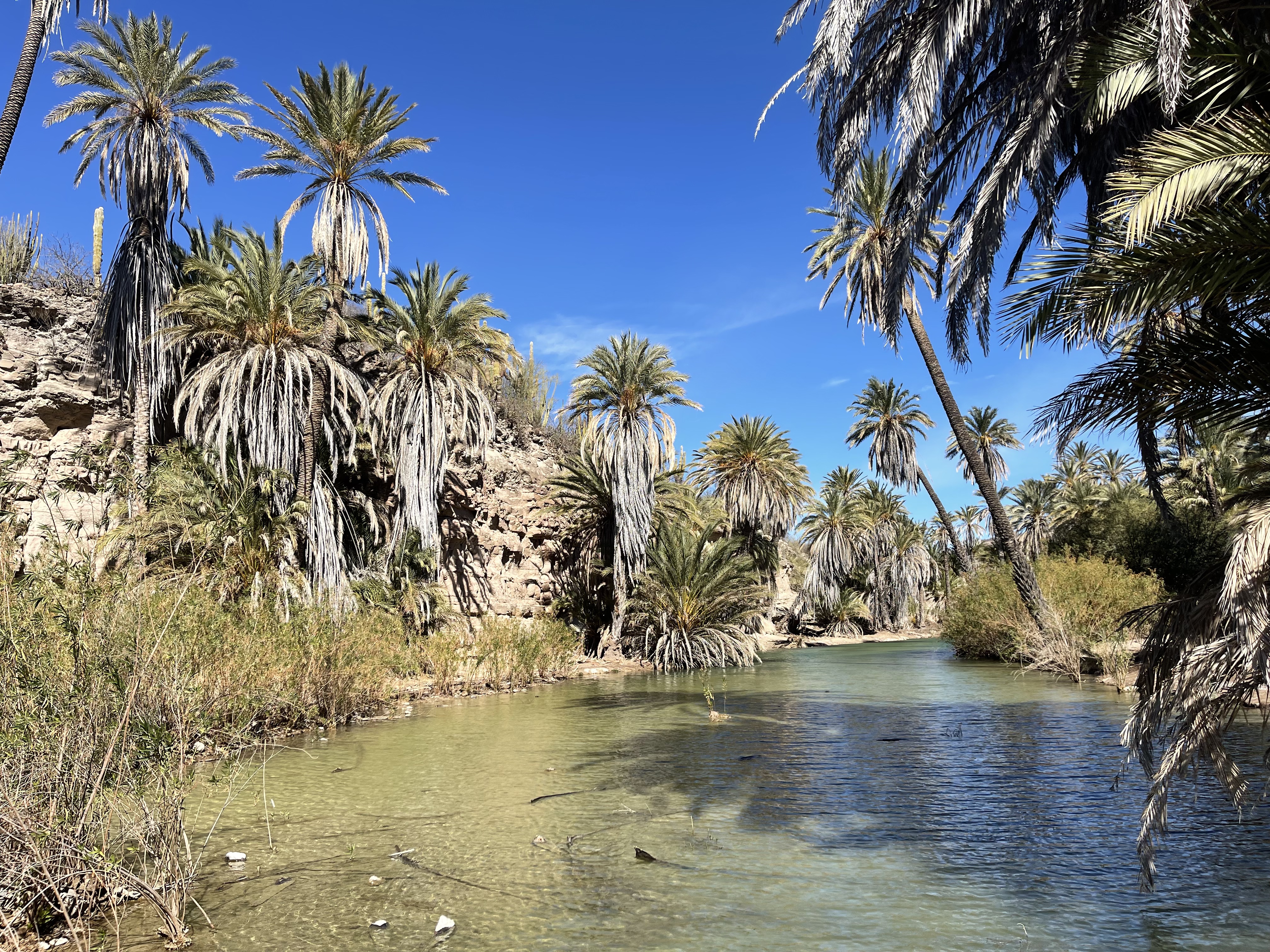 baja divide , bikepacking baja , baja-proof