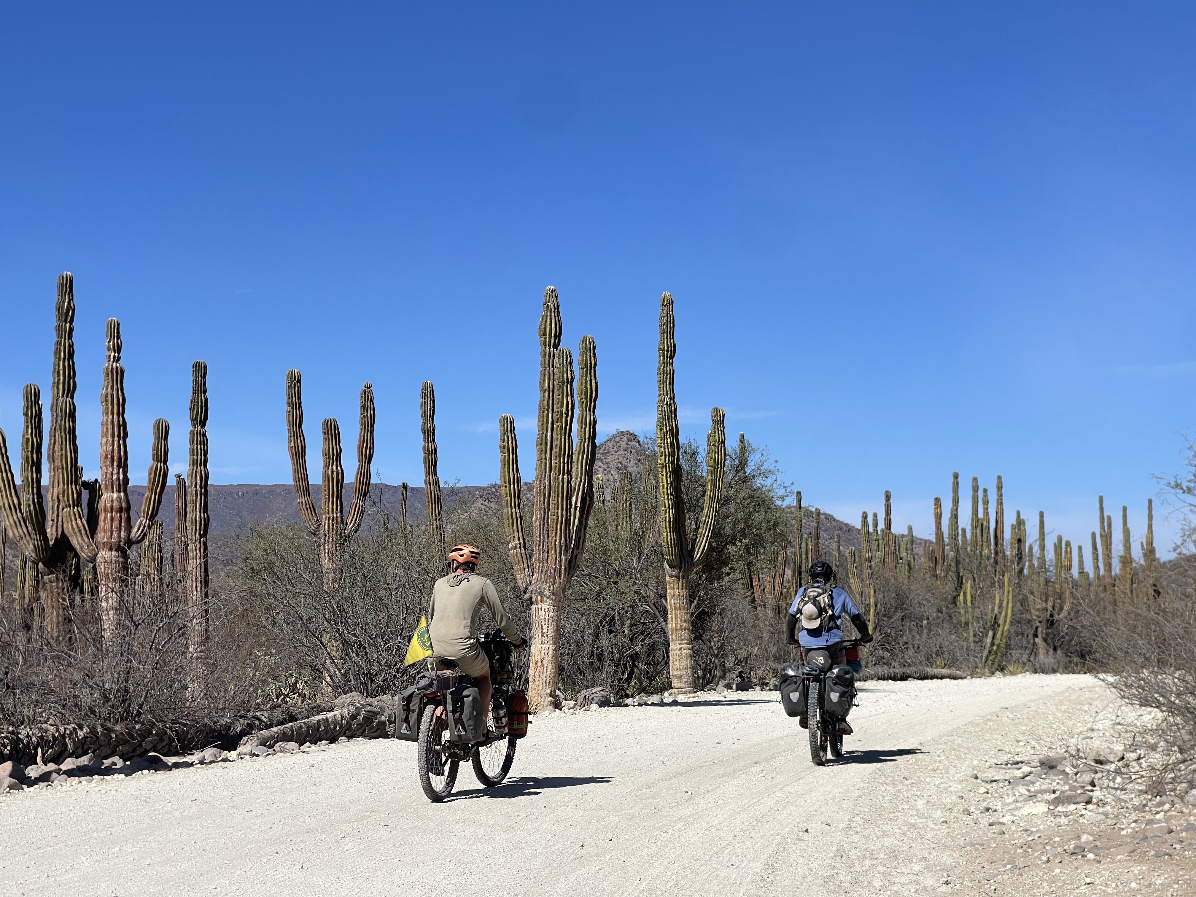 baja divide , bikepacking baja , baja-proof