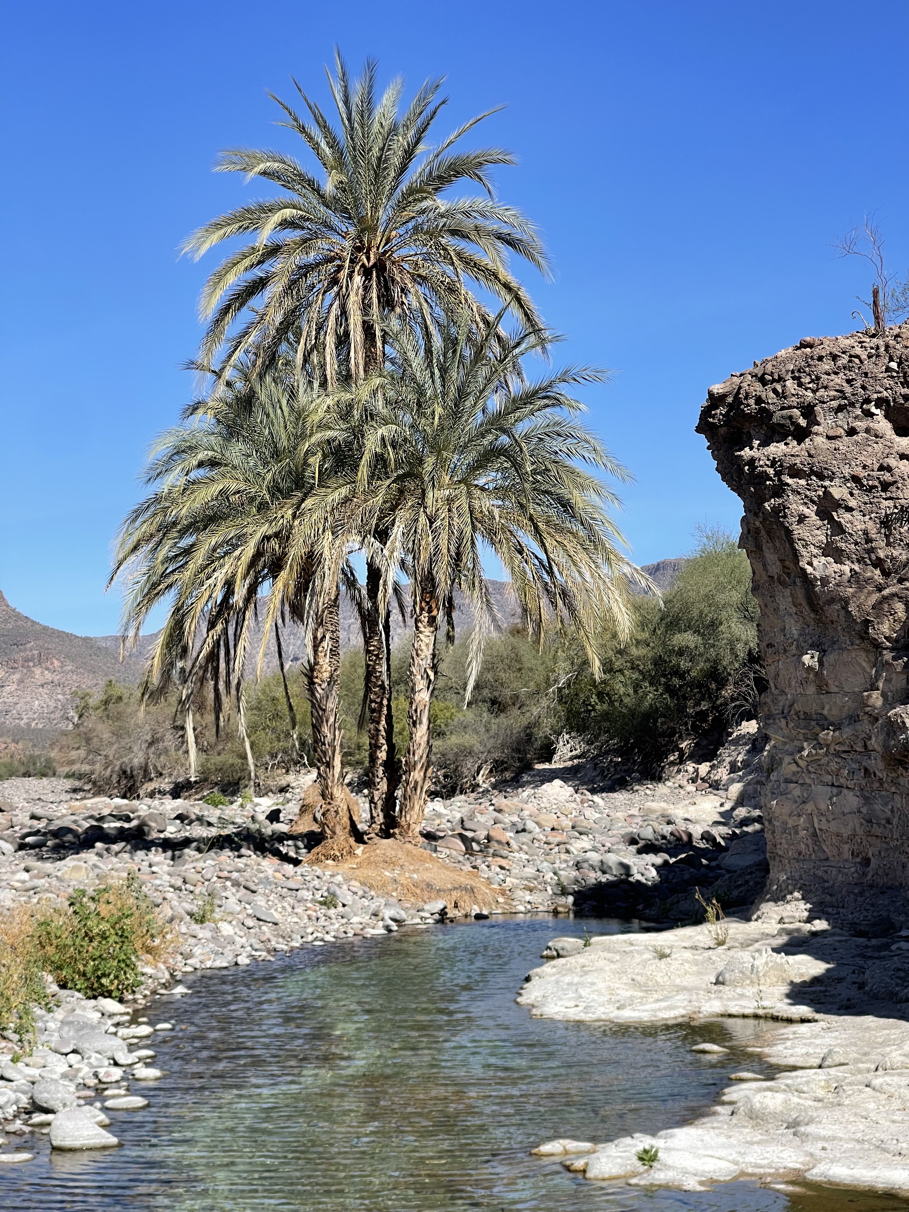 baja divide , bikepacking baja , baja-proof