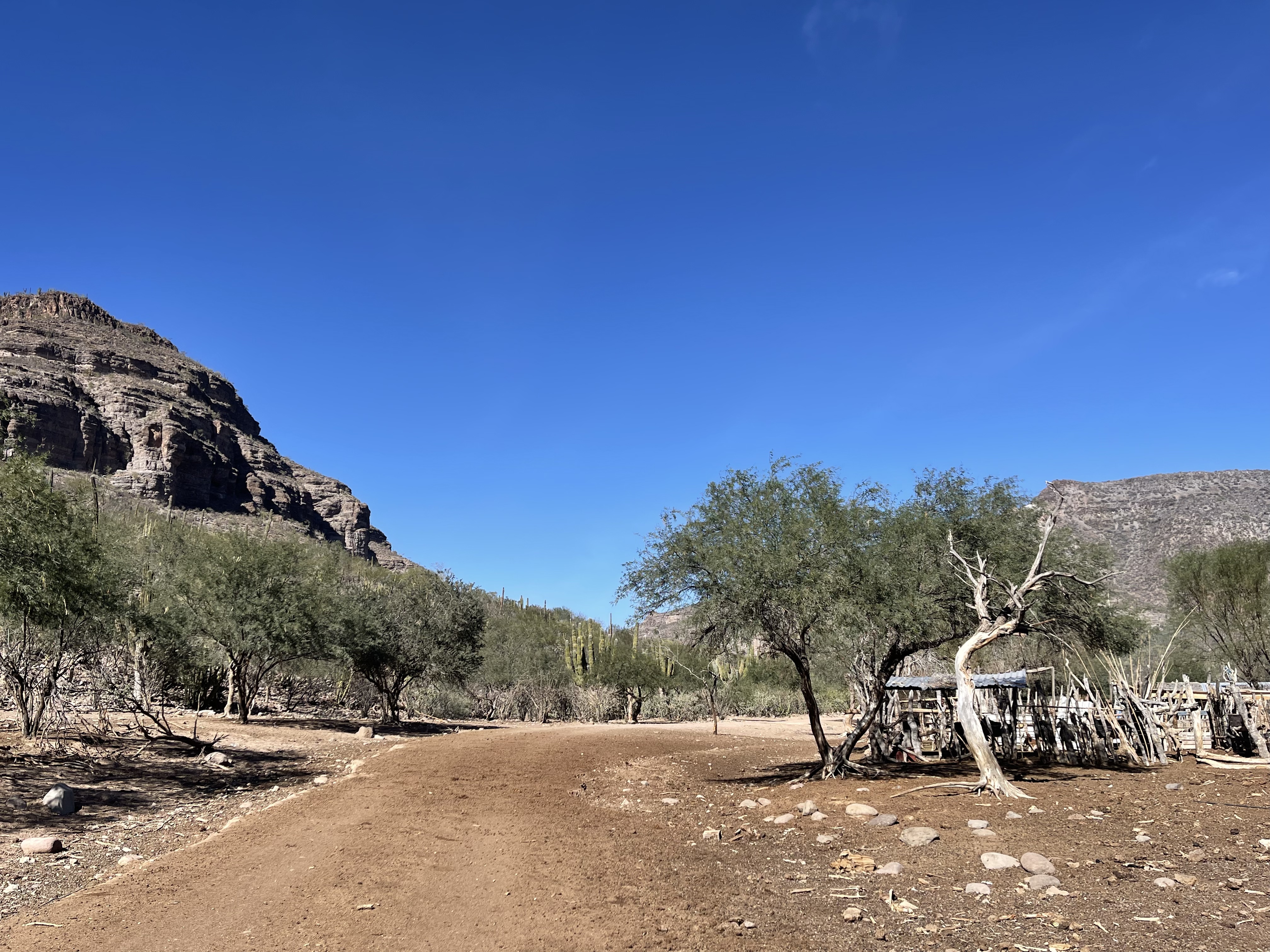 baja divide , bikepacking baja , baja-proof
