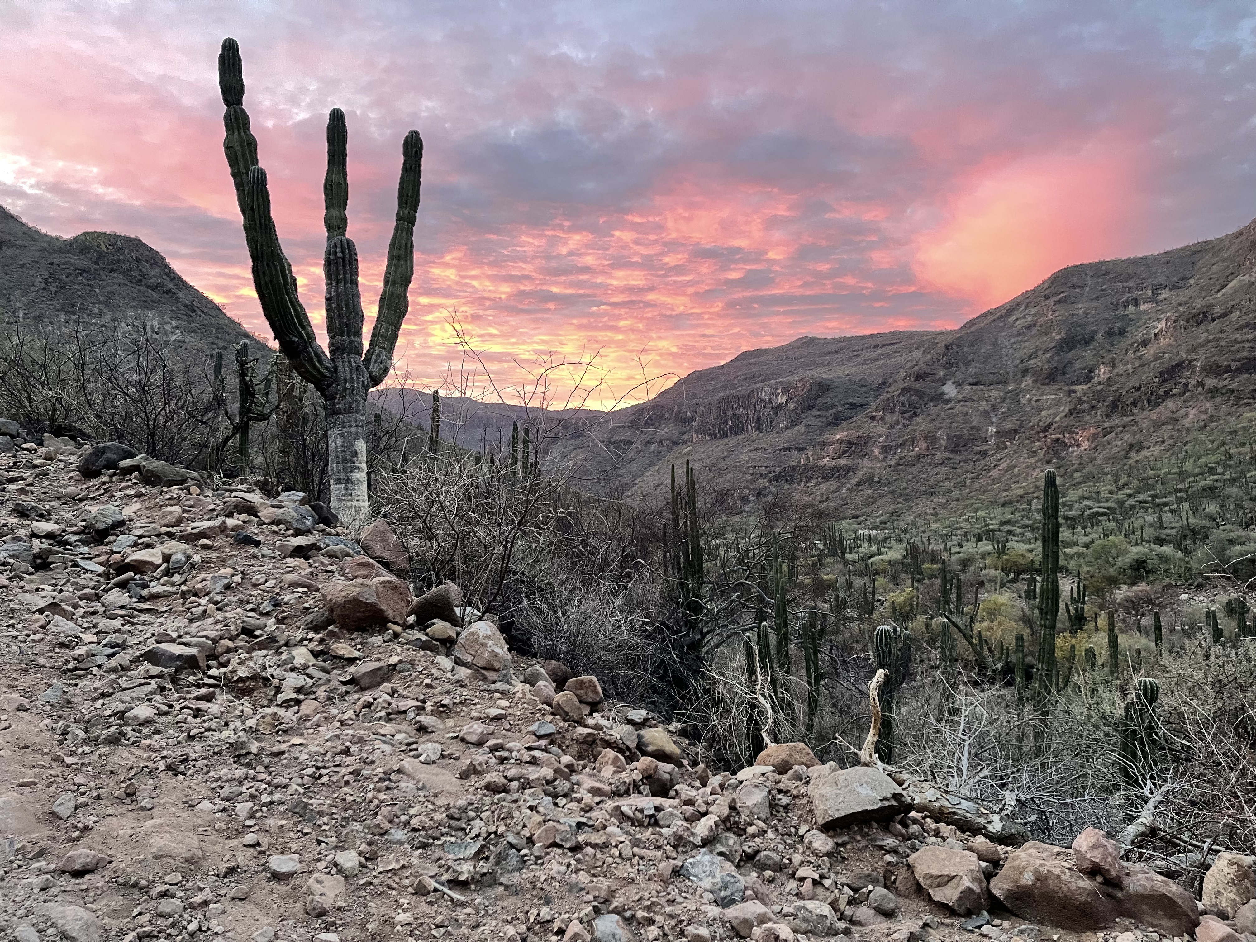 baja divide , bikepacking baja , baja-proof