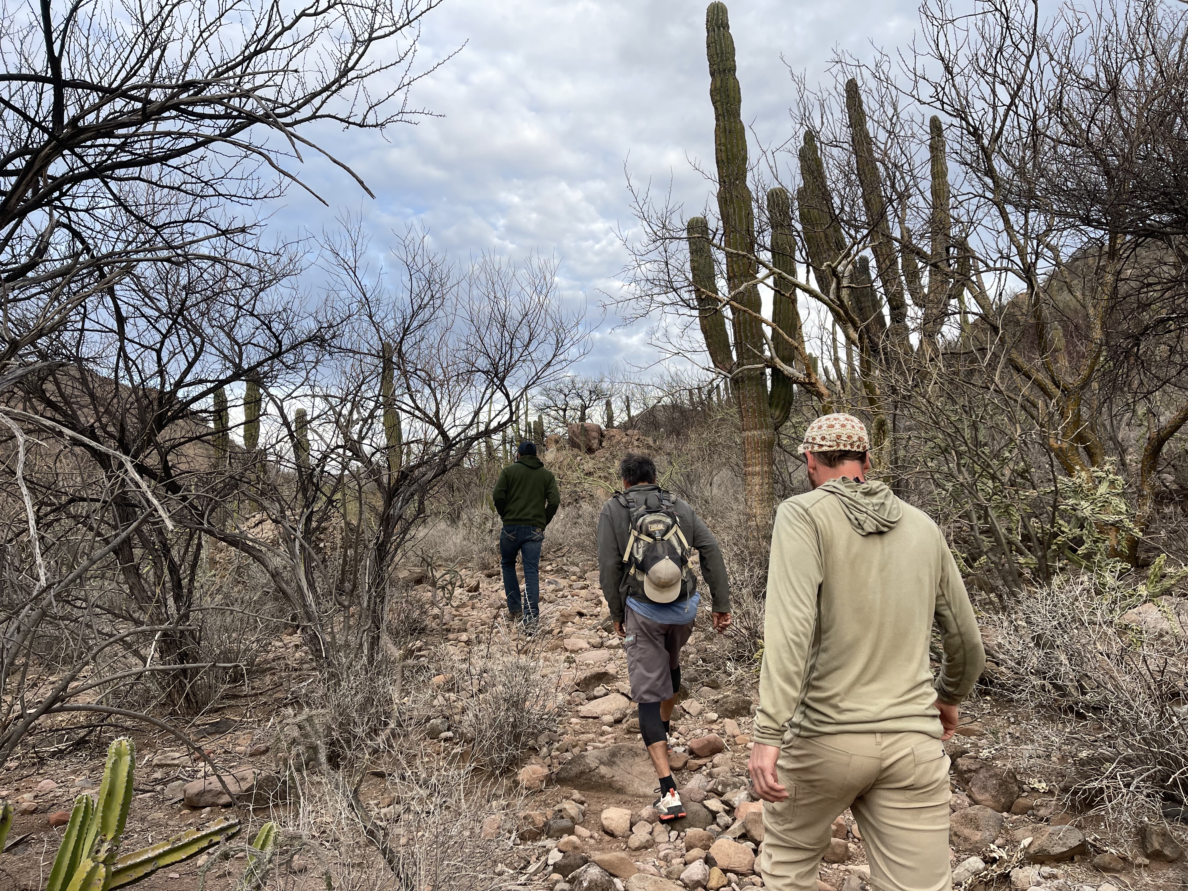 baja divide , bikepacking baja , baja-proof
