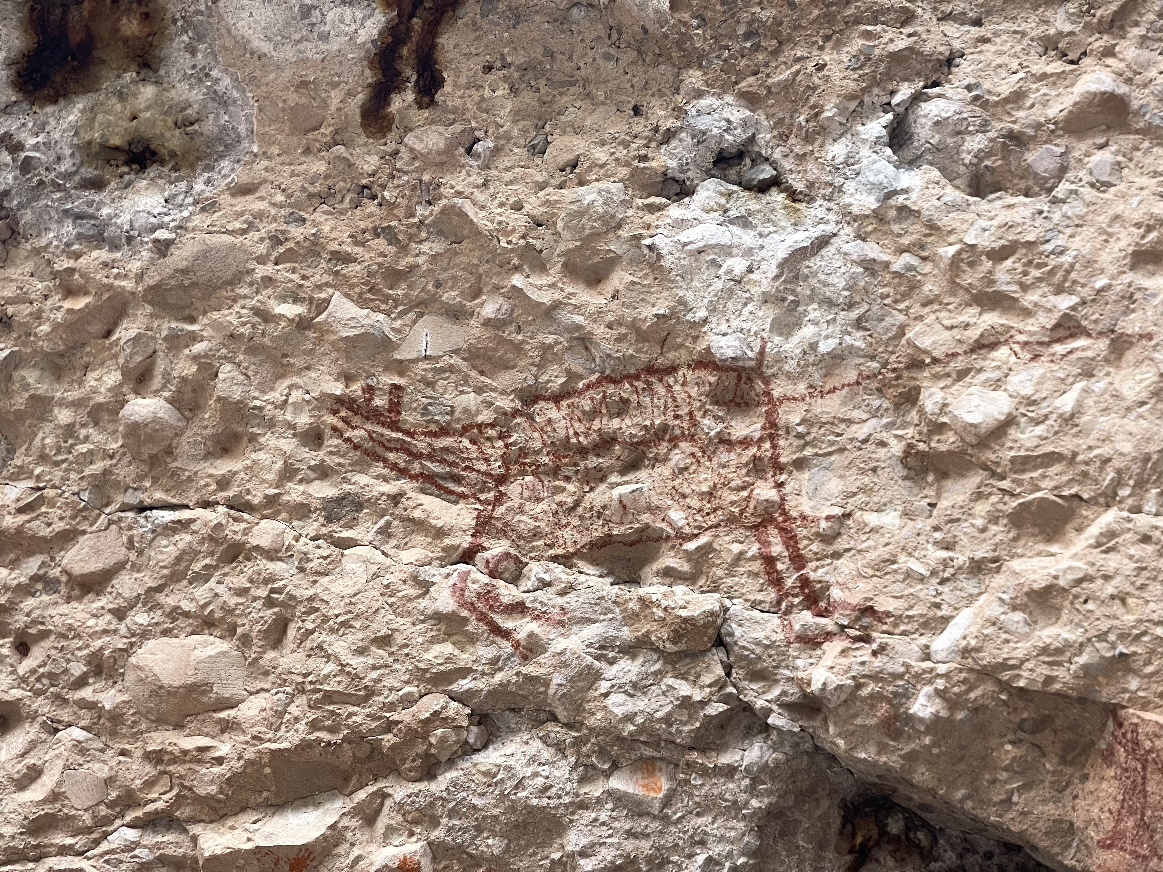 baja divide , bikepacking baja , baja-proof