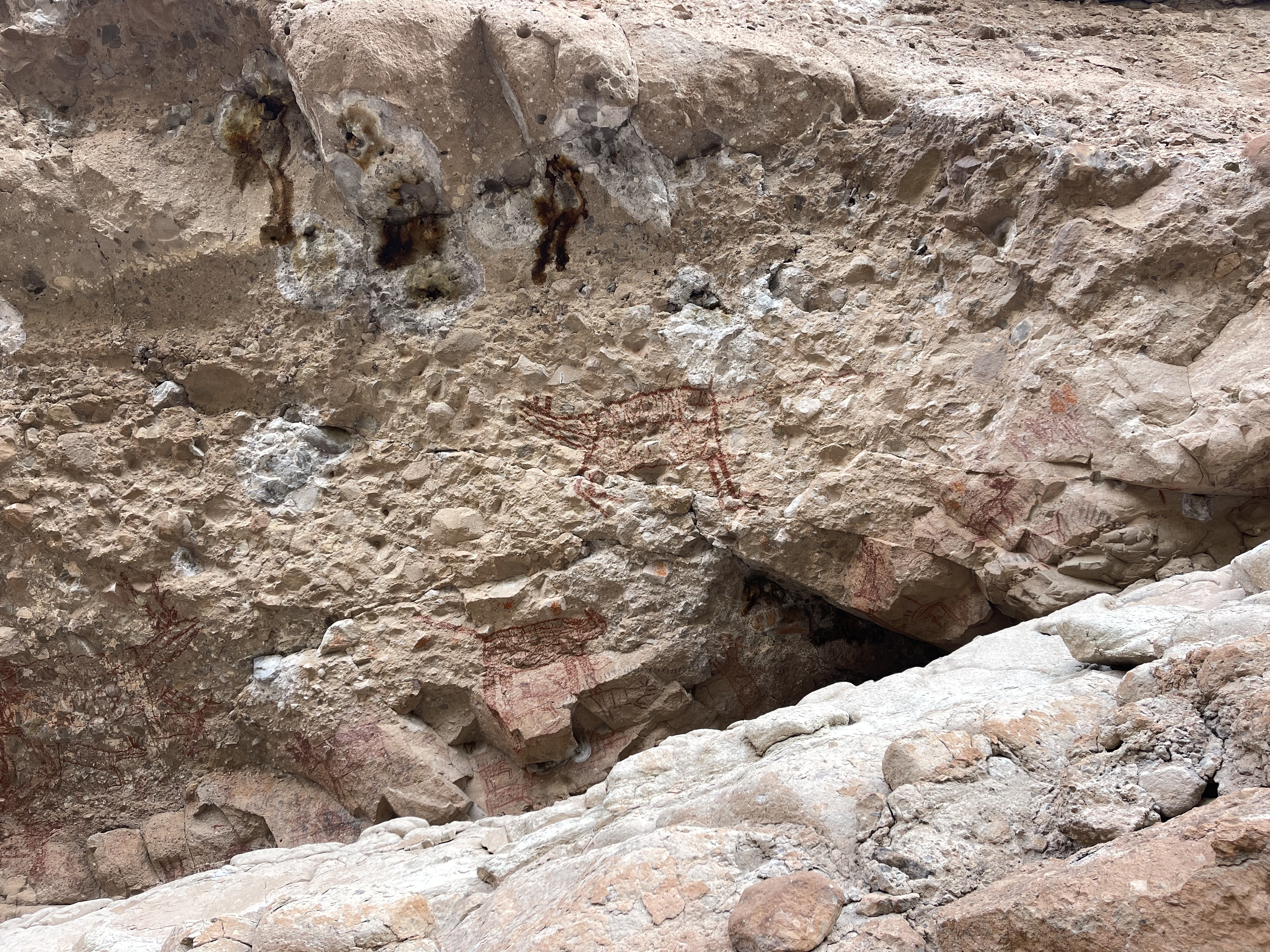 baja divide , bikepacking baja , baja-proof