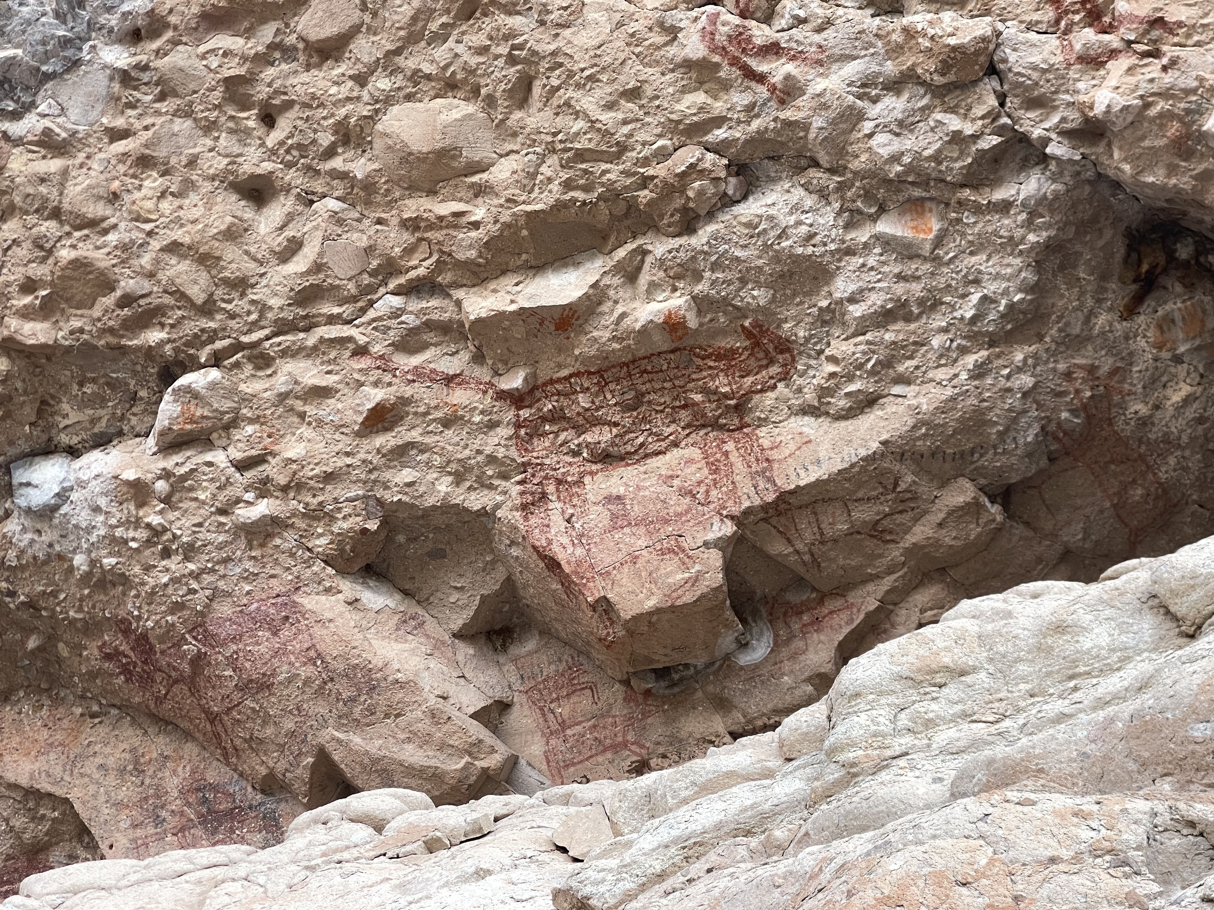 baja divide , bikepacking baja , baja-proof