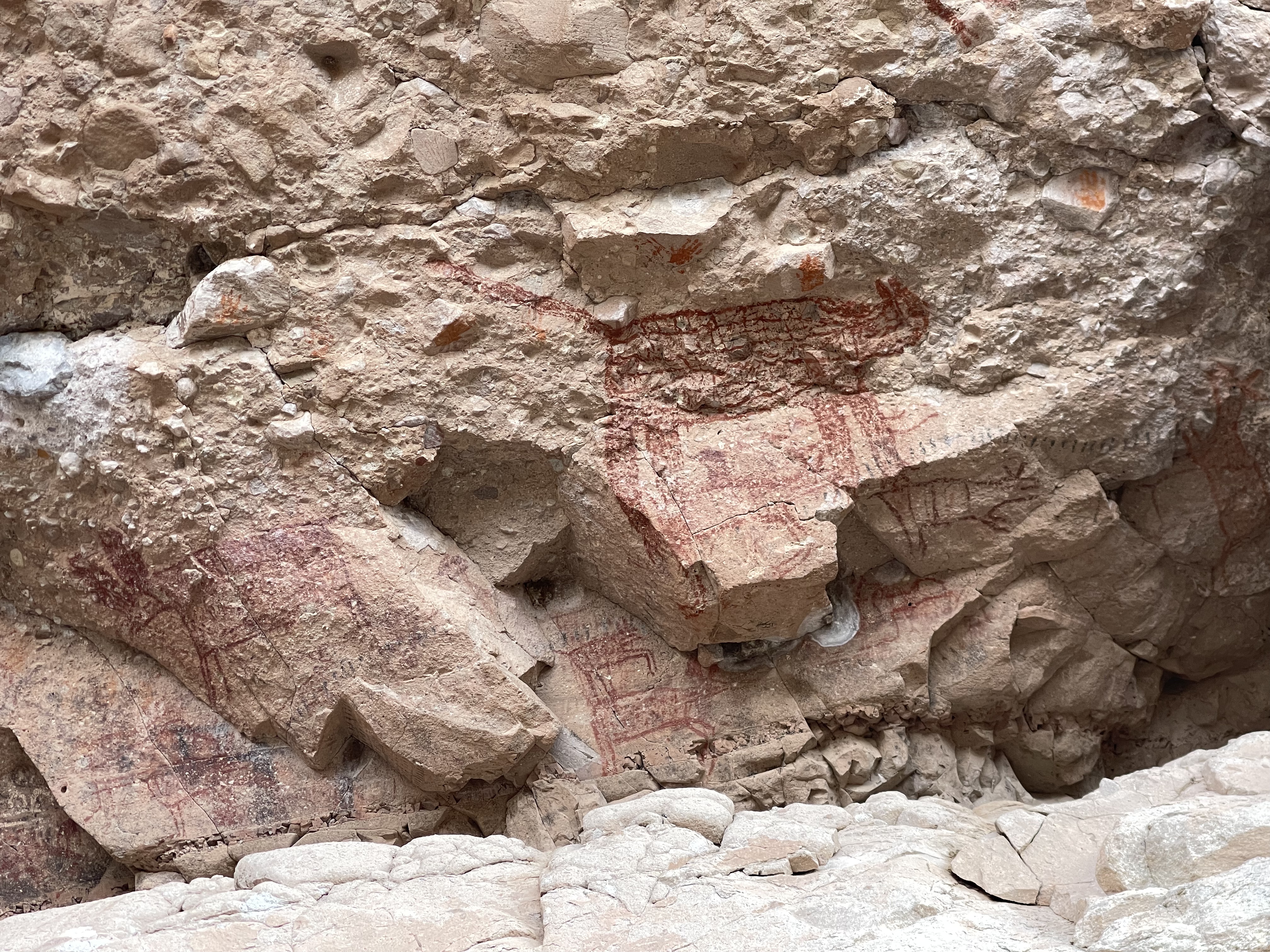 baja divide , bikepacking baja , baja-proof