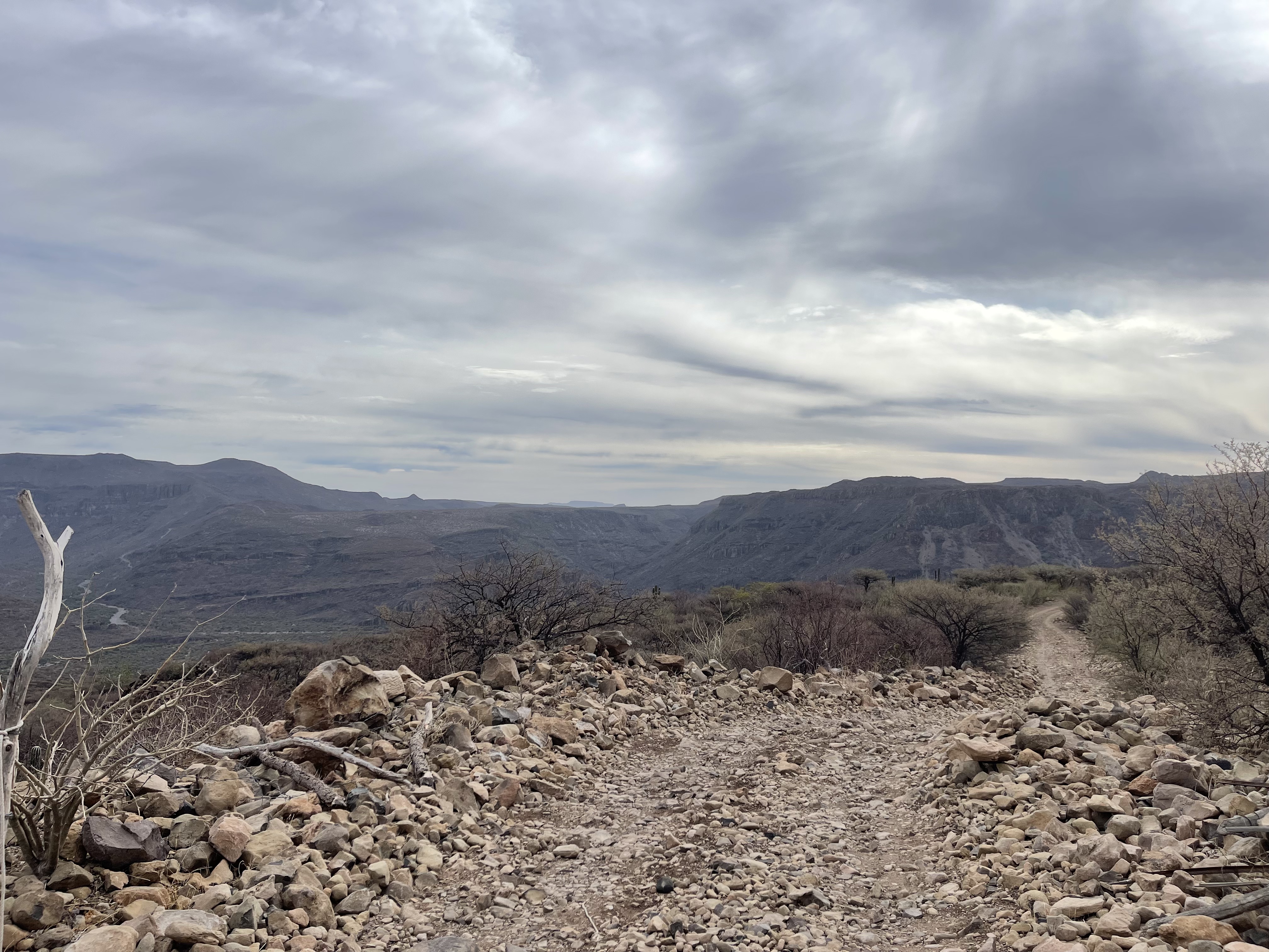 baja divide , bikepacking baja , baja-proof
