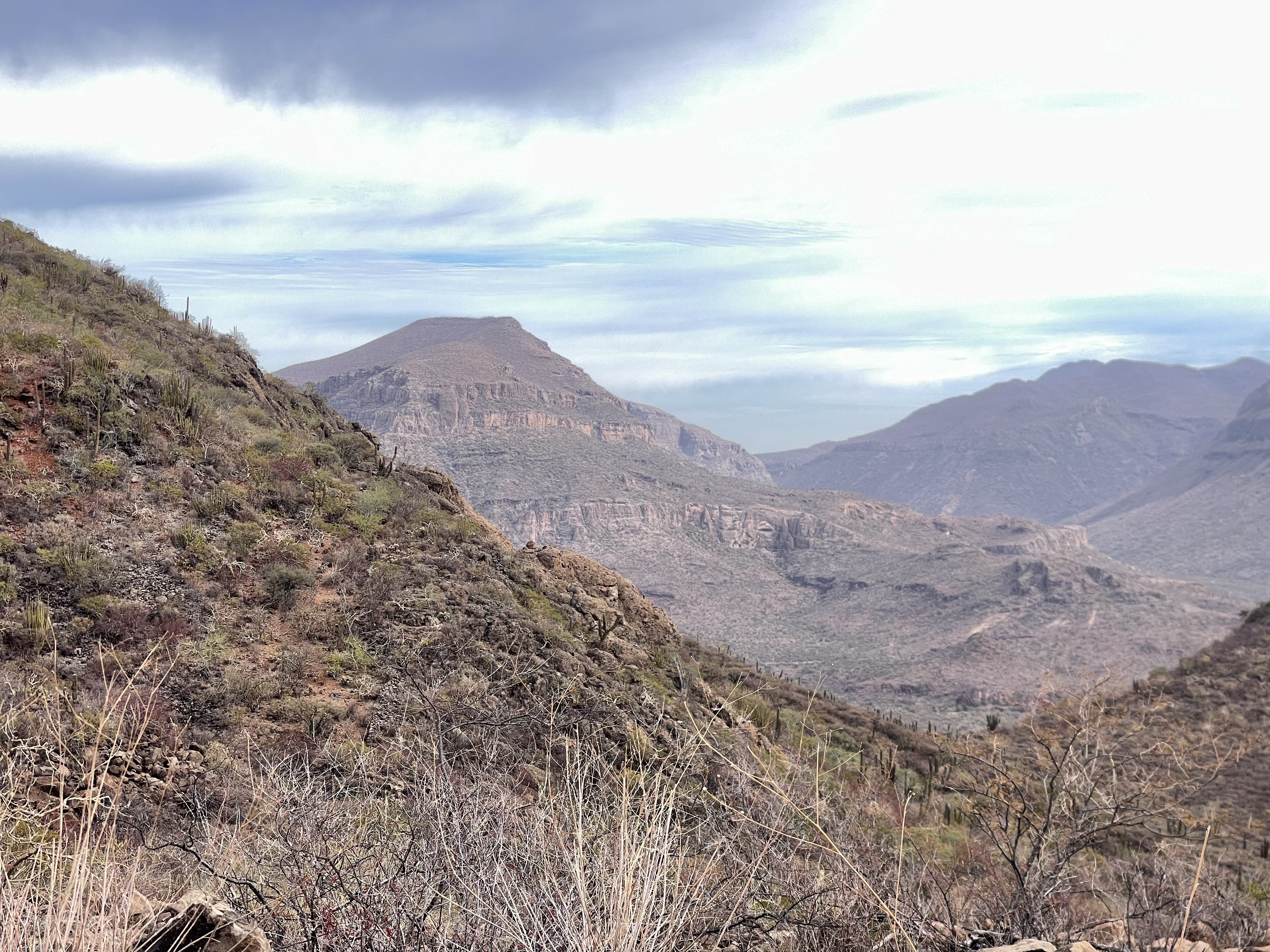 baja divide , bikepacking baja , baja-proof