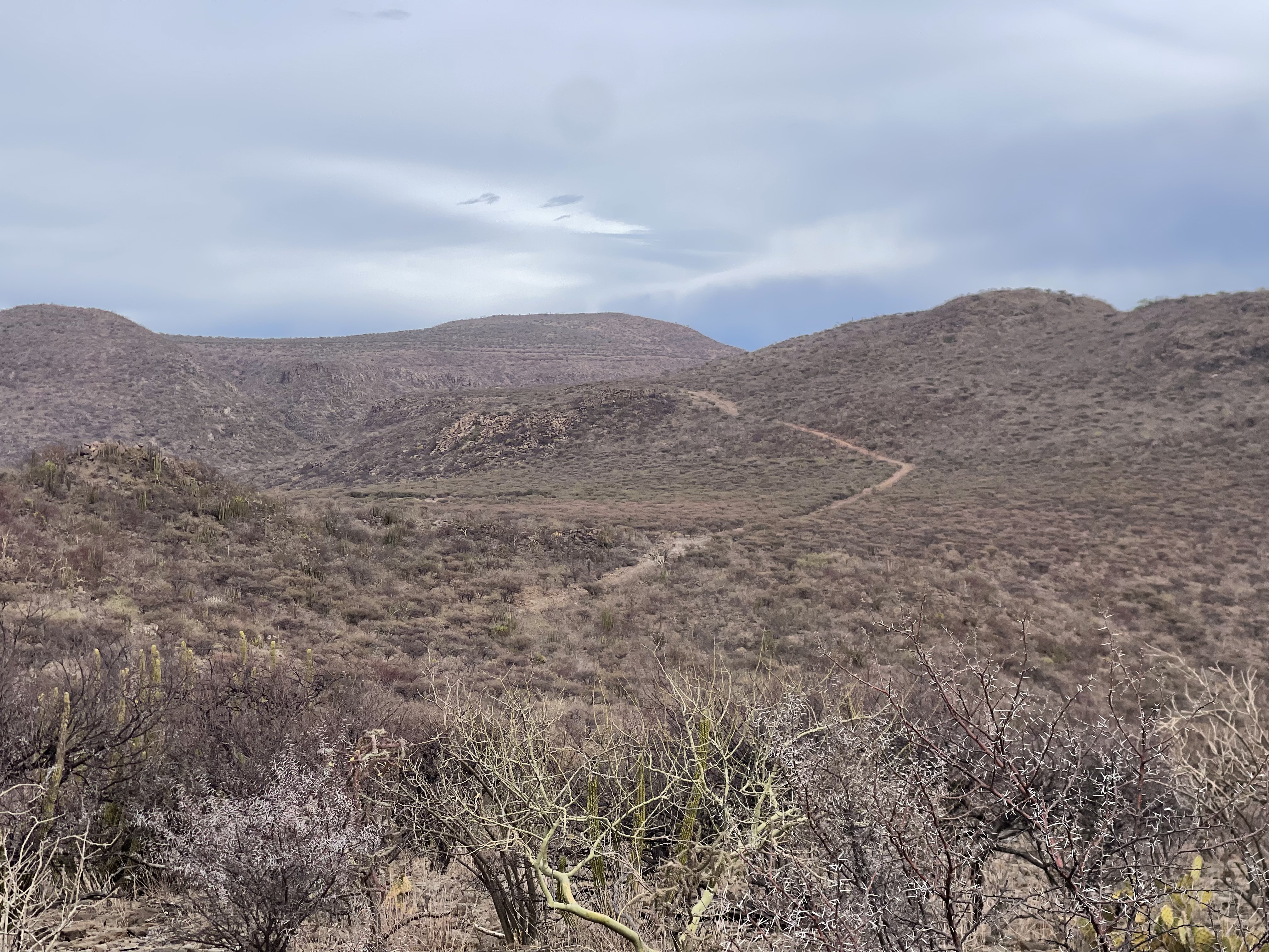 baja divide , bikepacking baja , baja-proof