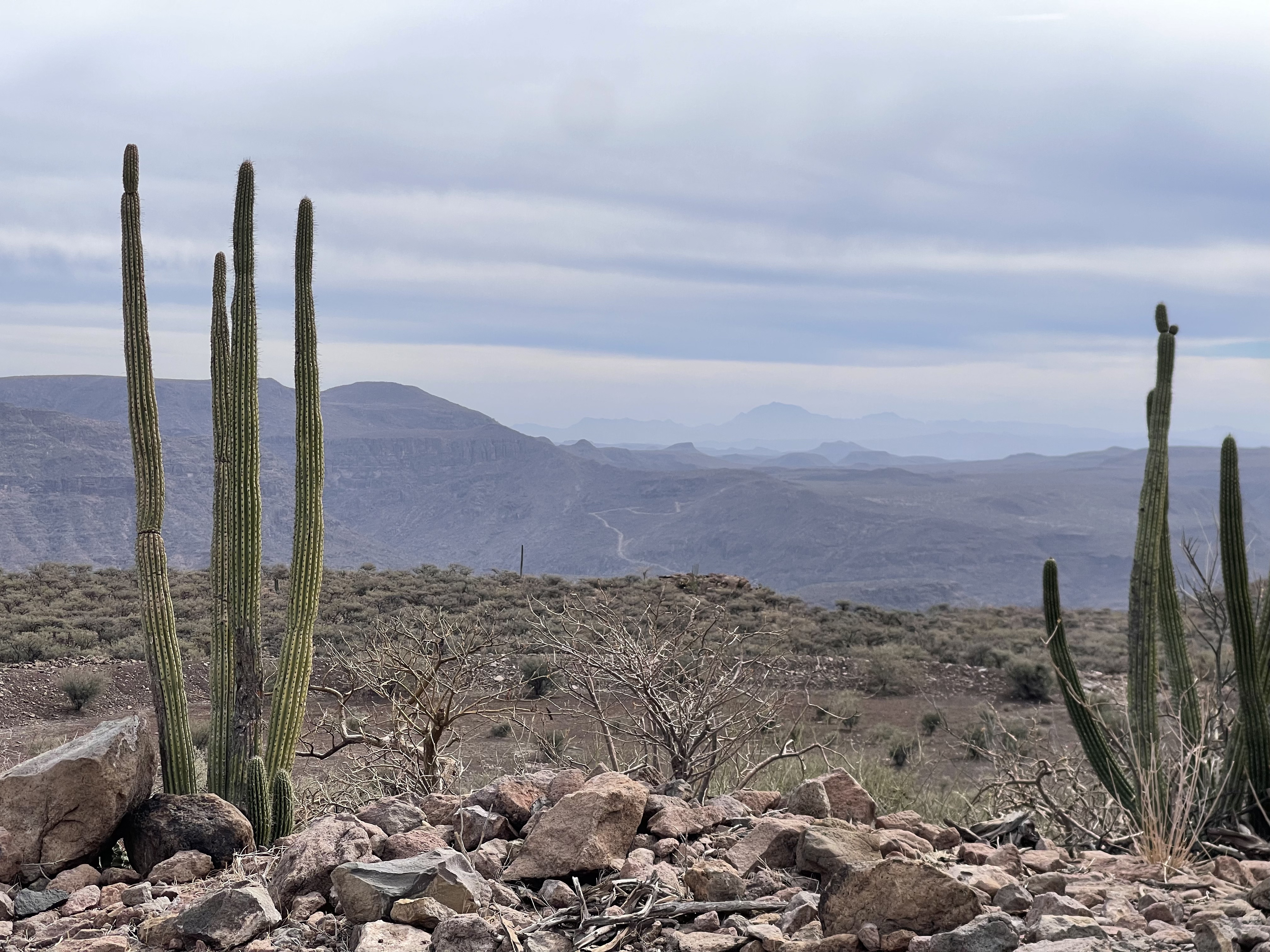 baja divide , bikepacking baja , baja-proof