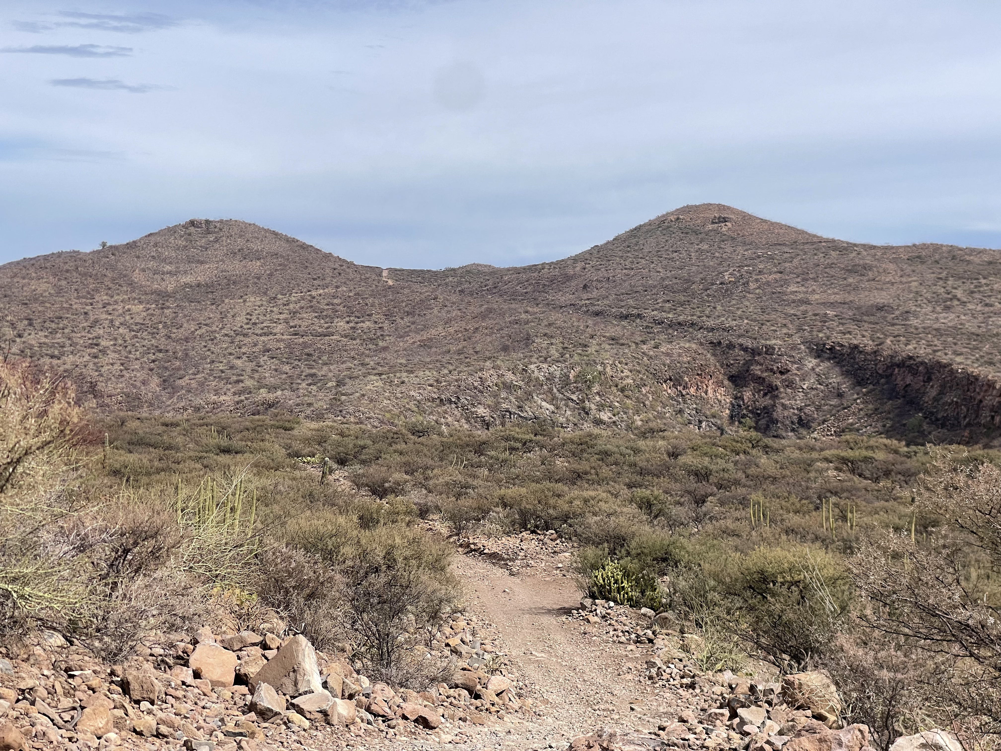 baja divide , bikepacking baja , baja-proof