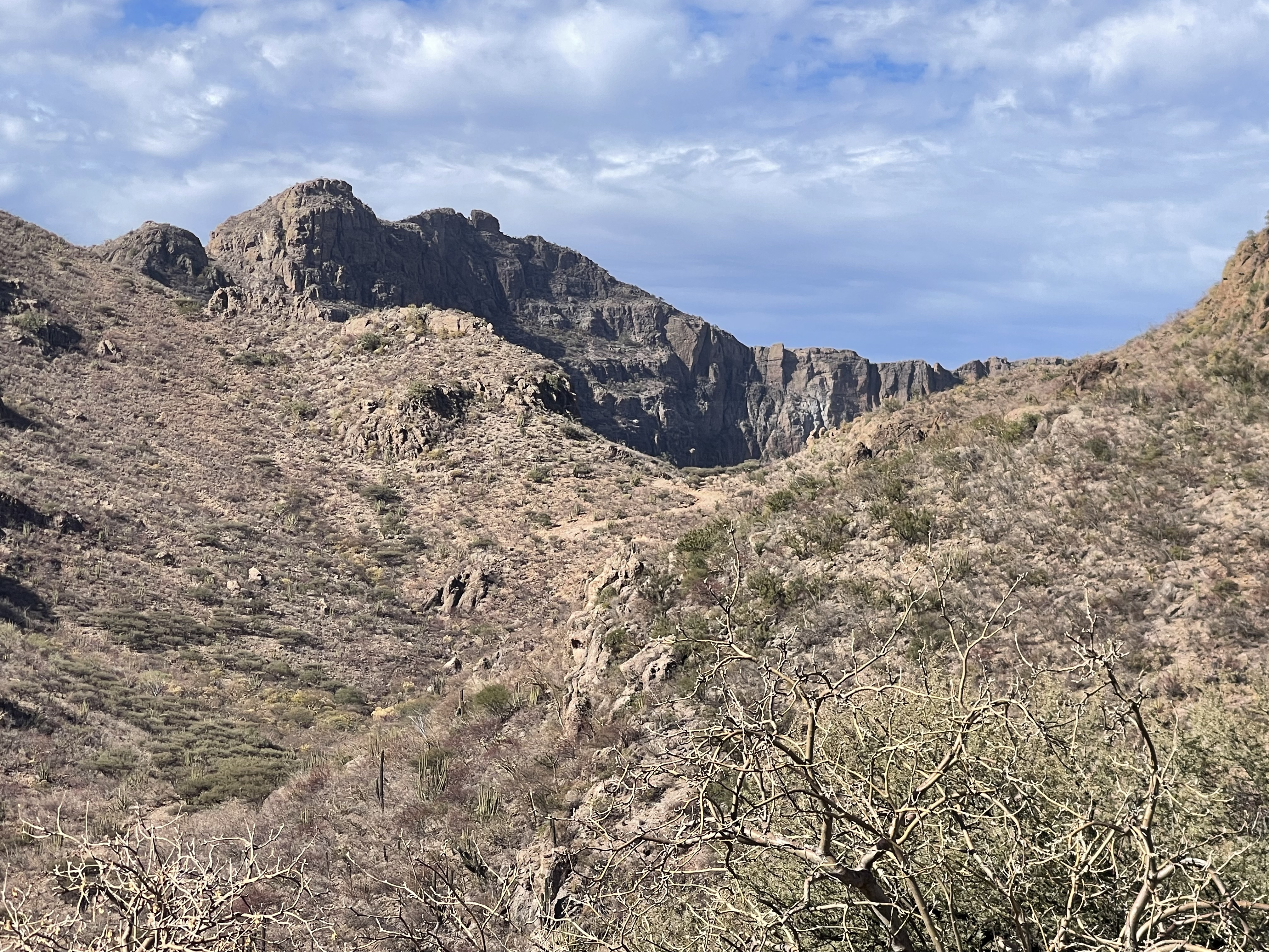 baja divide , bikepacking baja , baja-proof