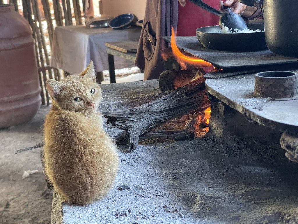 baja divide , bikepacking baja , baja-proof