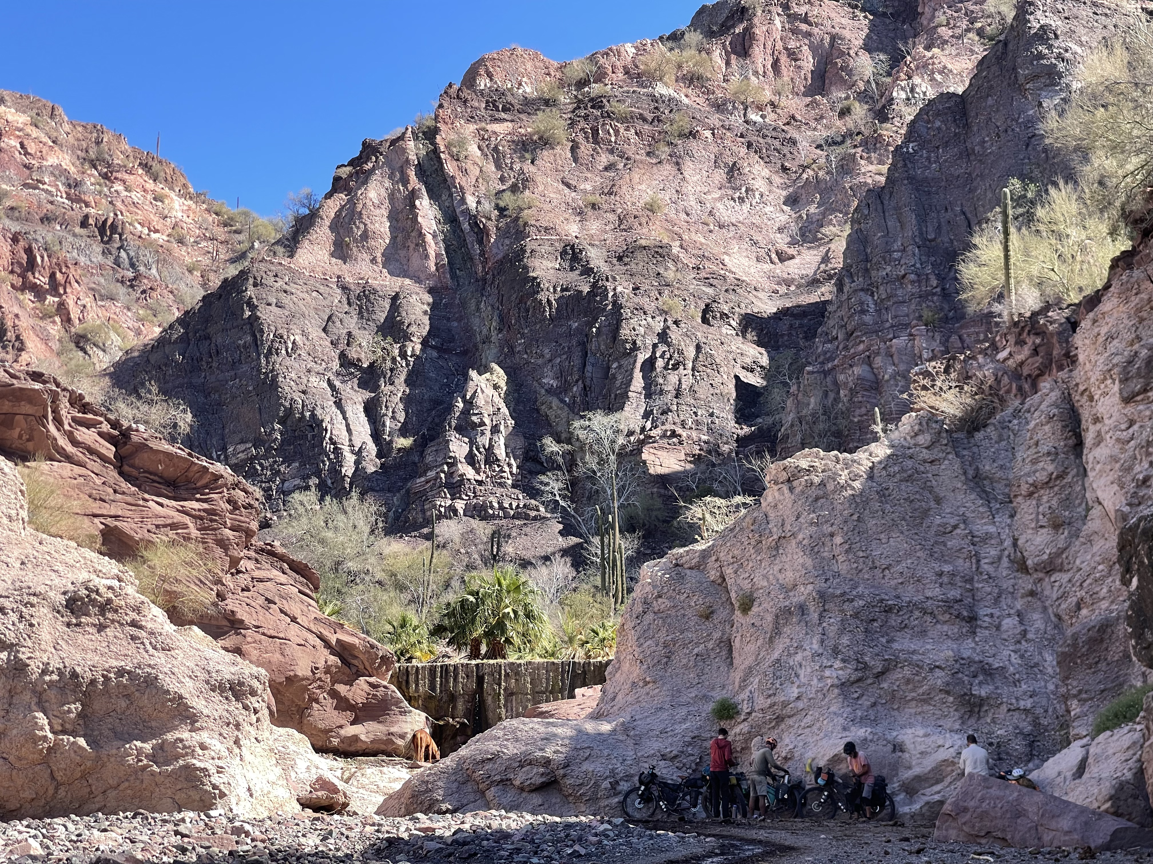 baja divide , bikepacking baja , baja-proof