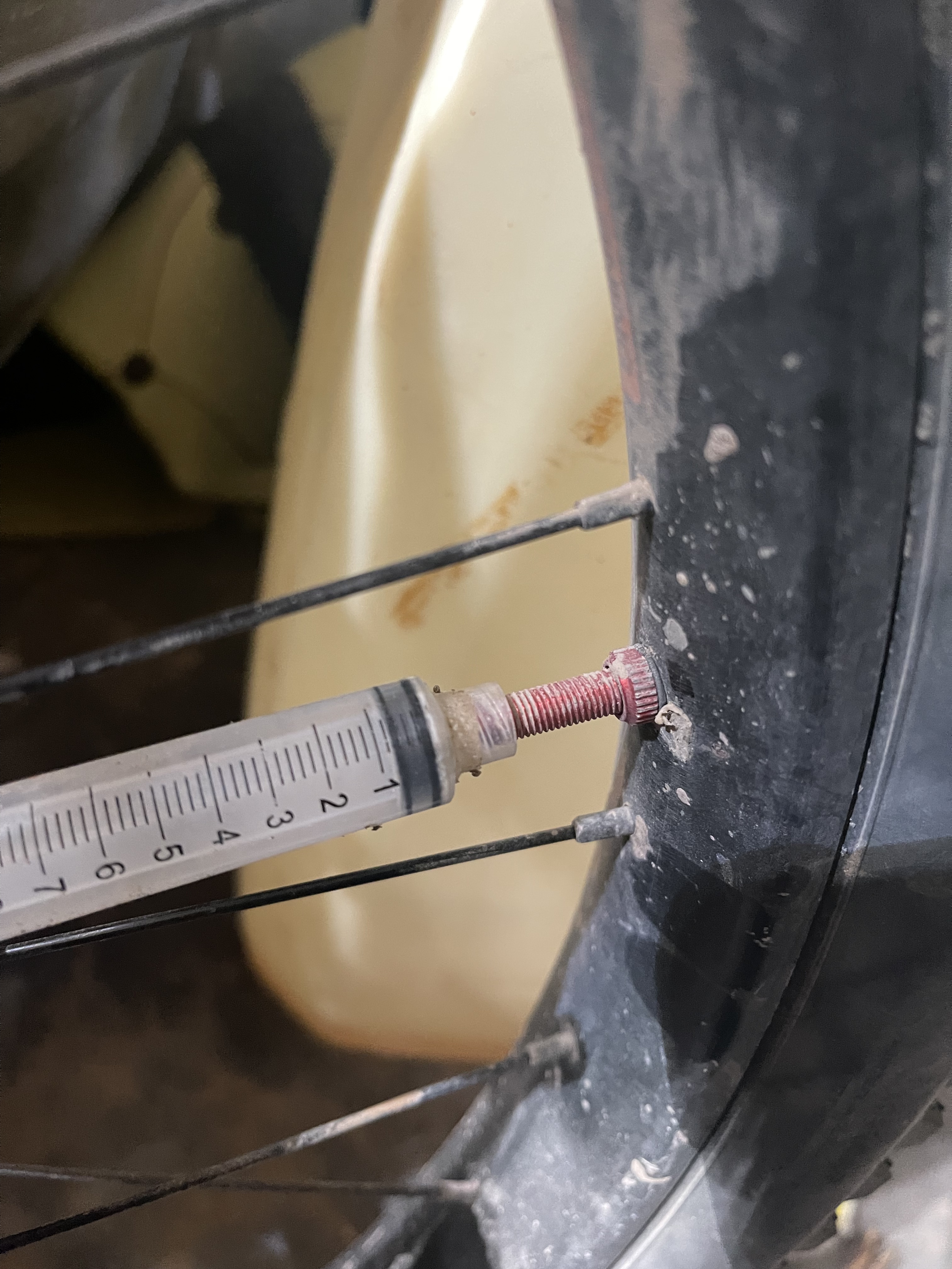 baja divide , bikepacking baja , baja-proof