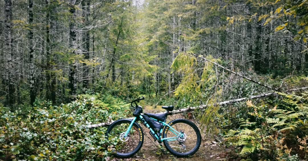 baja divide , bikepacking baja , baja-proof