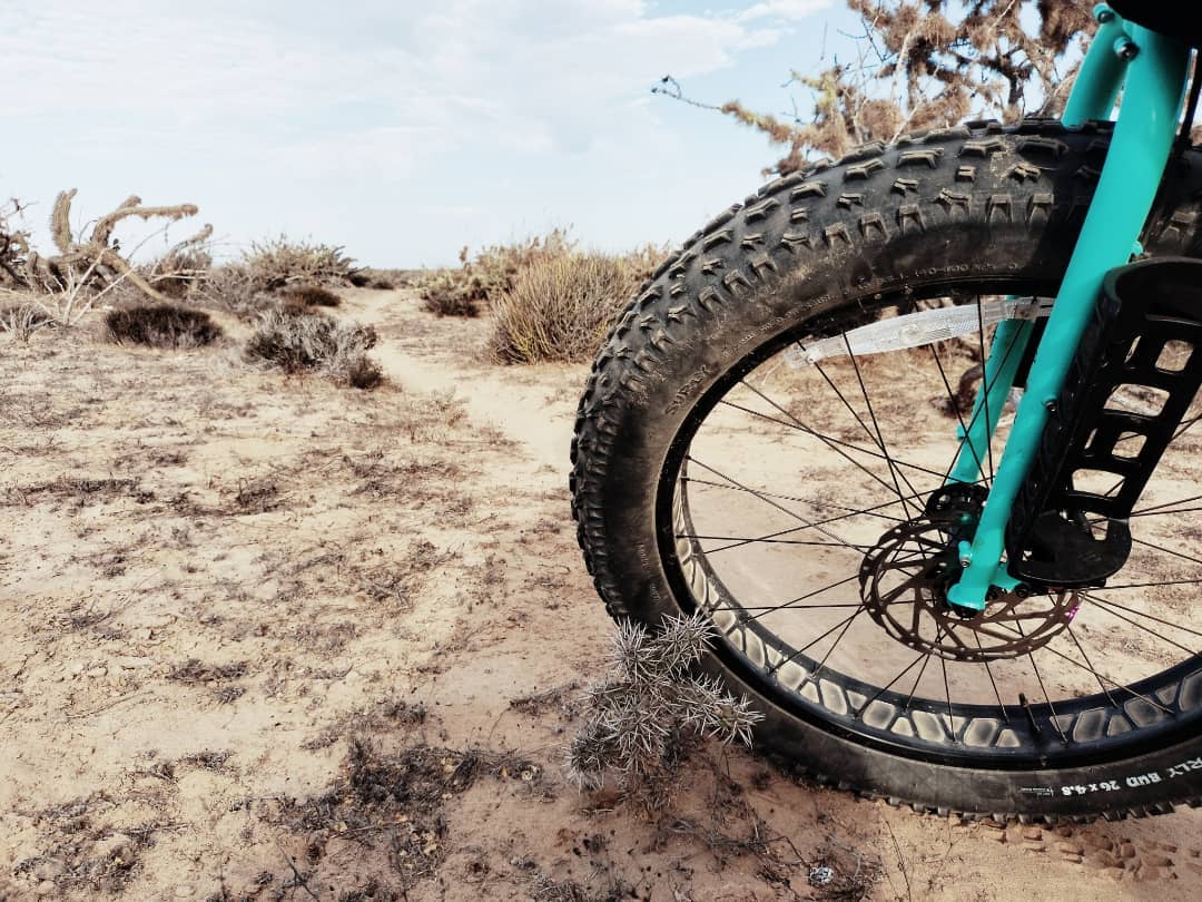baja divide , bikepacking baja , baja-proof