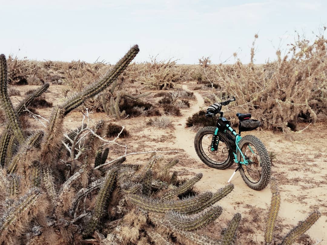 baja divide , bikepacking baja , baja-proof