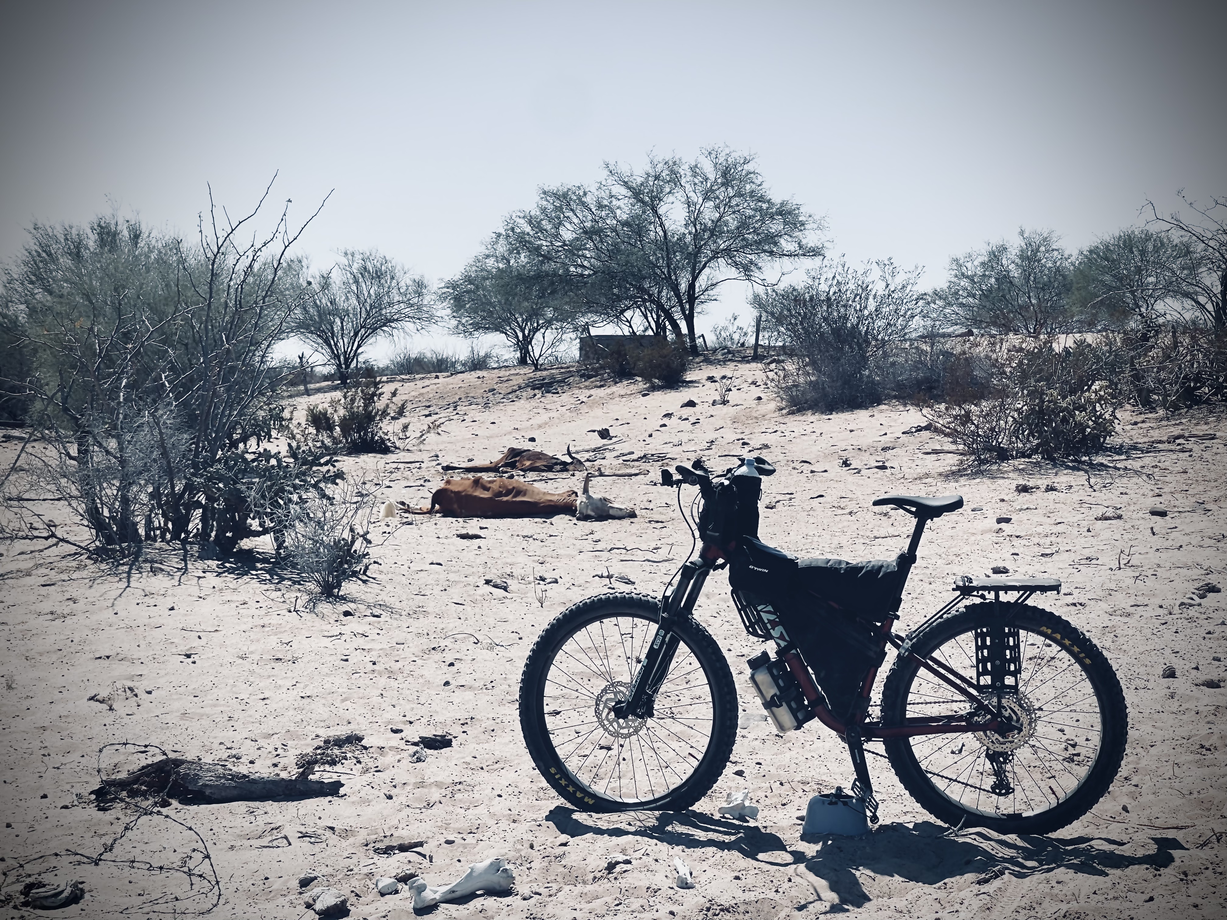 Baja divide , bikepacking baja , bikepacking