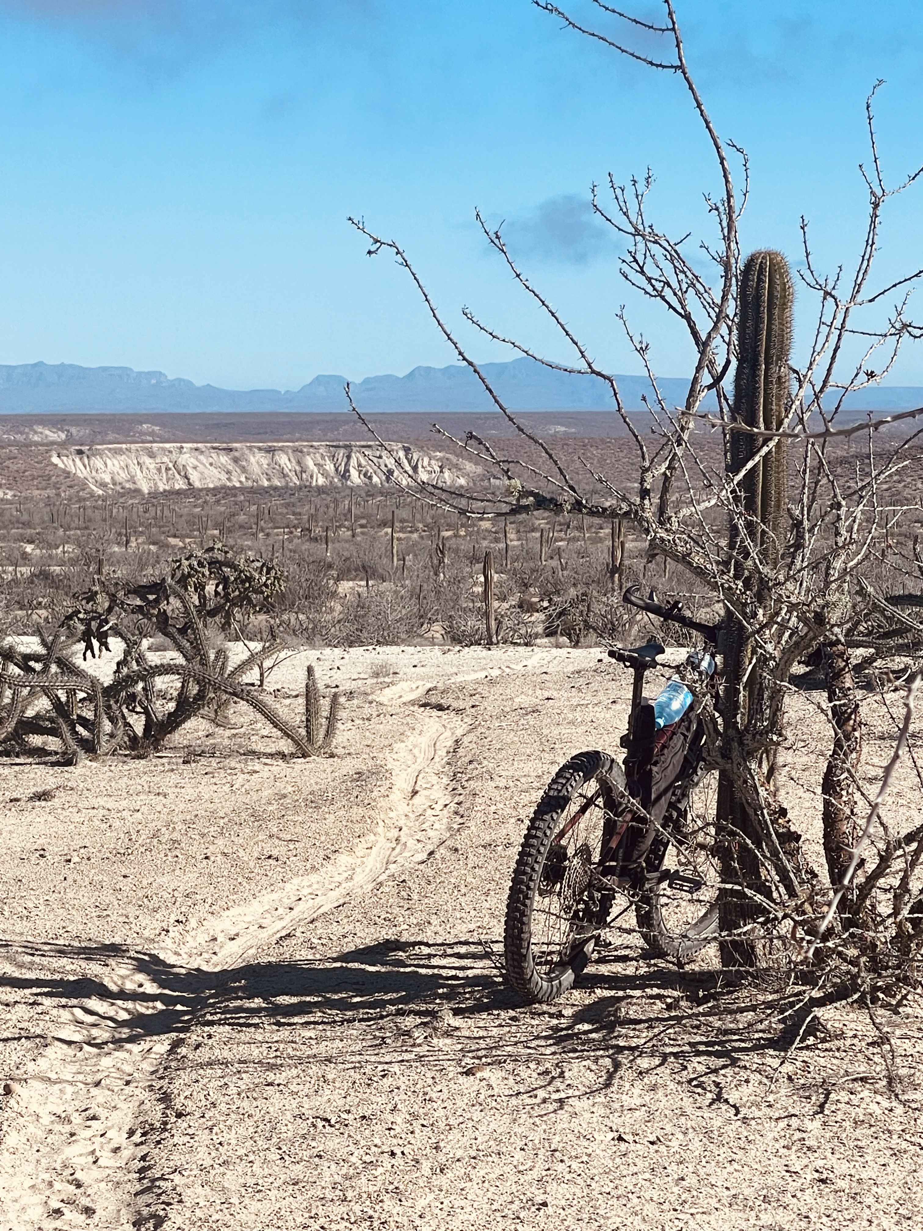 Baja divide , bikepacking baja , bikepacking