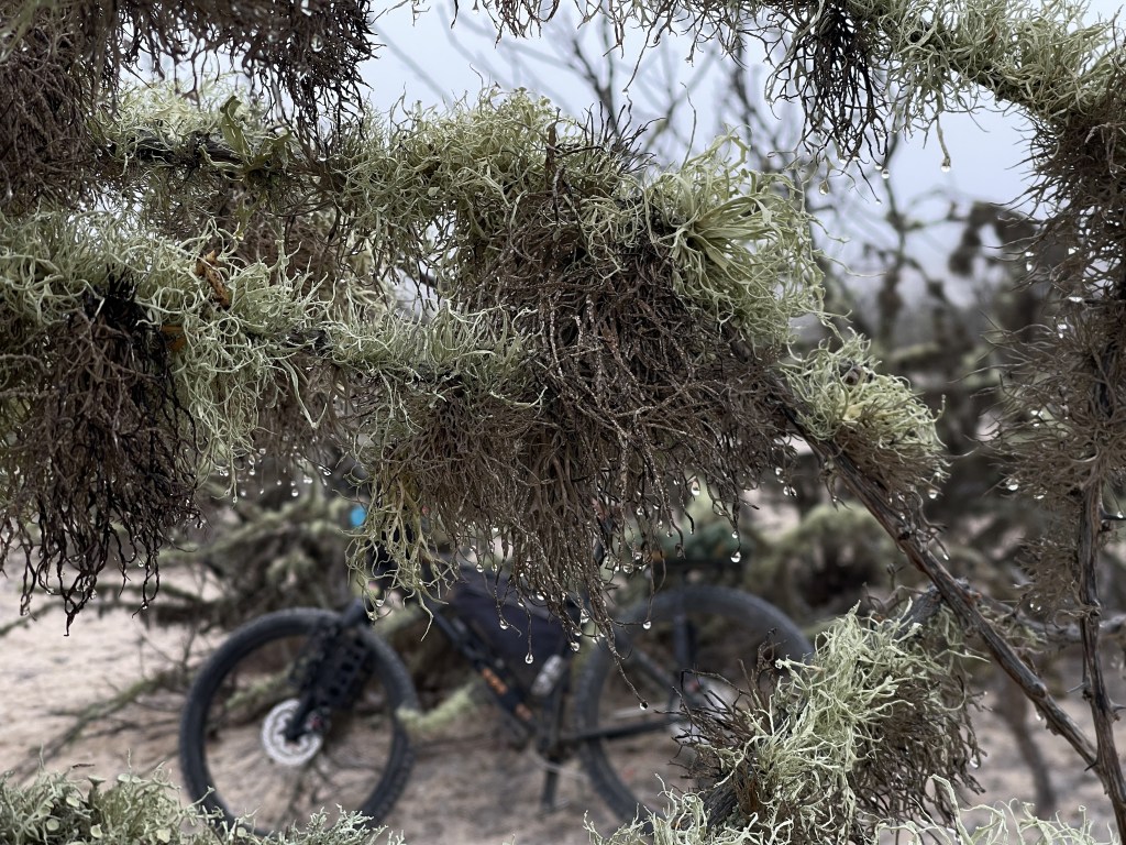 Baja divide , bikepacking baja , bikepacking