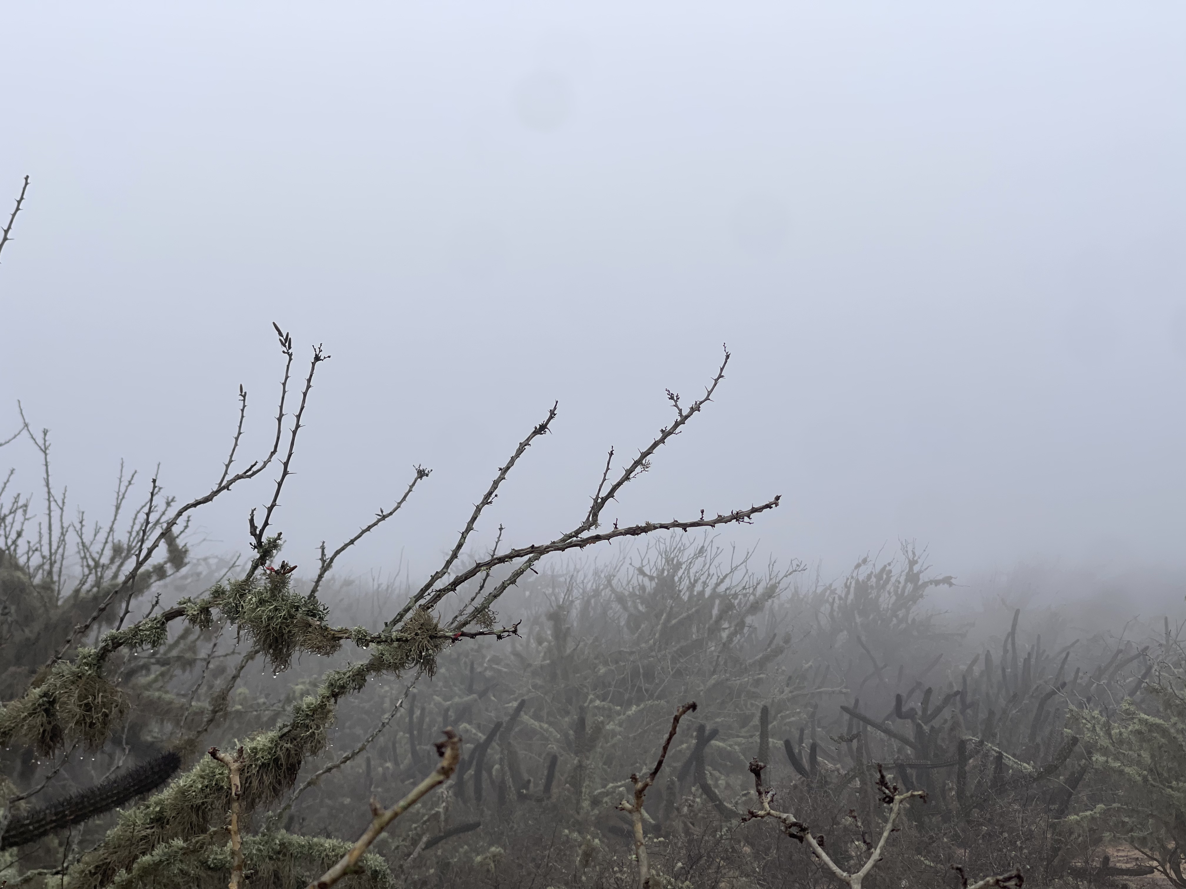 Baja divide , bikepacking baja , bikepacking