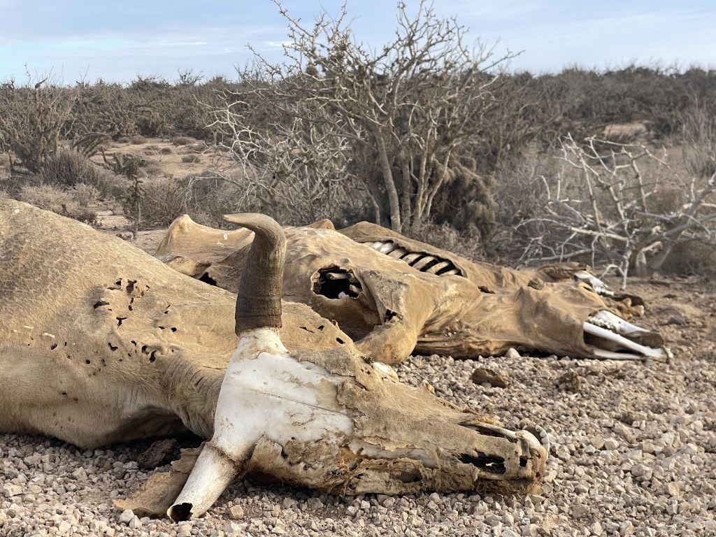 Baja divide , bikepacking baja , bikepacking
