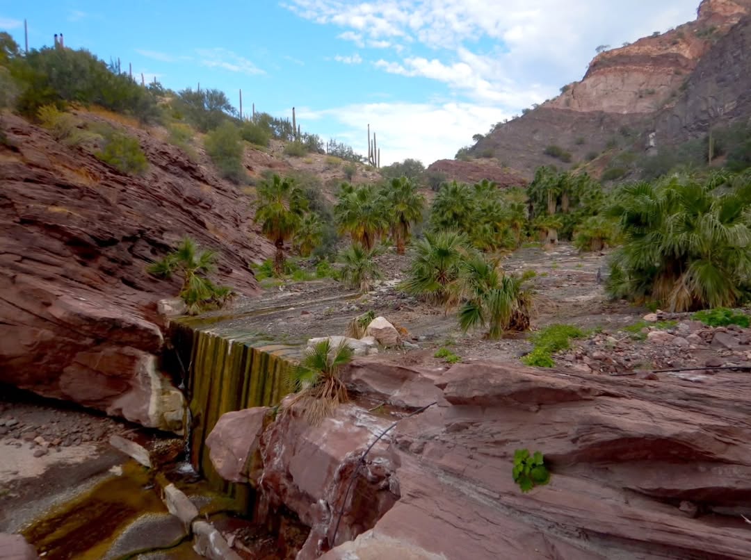 bikepackingbaja , baja divide , bikepacking