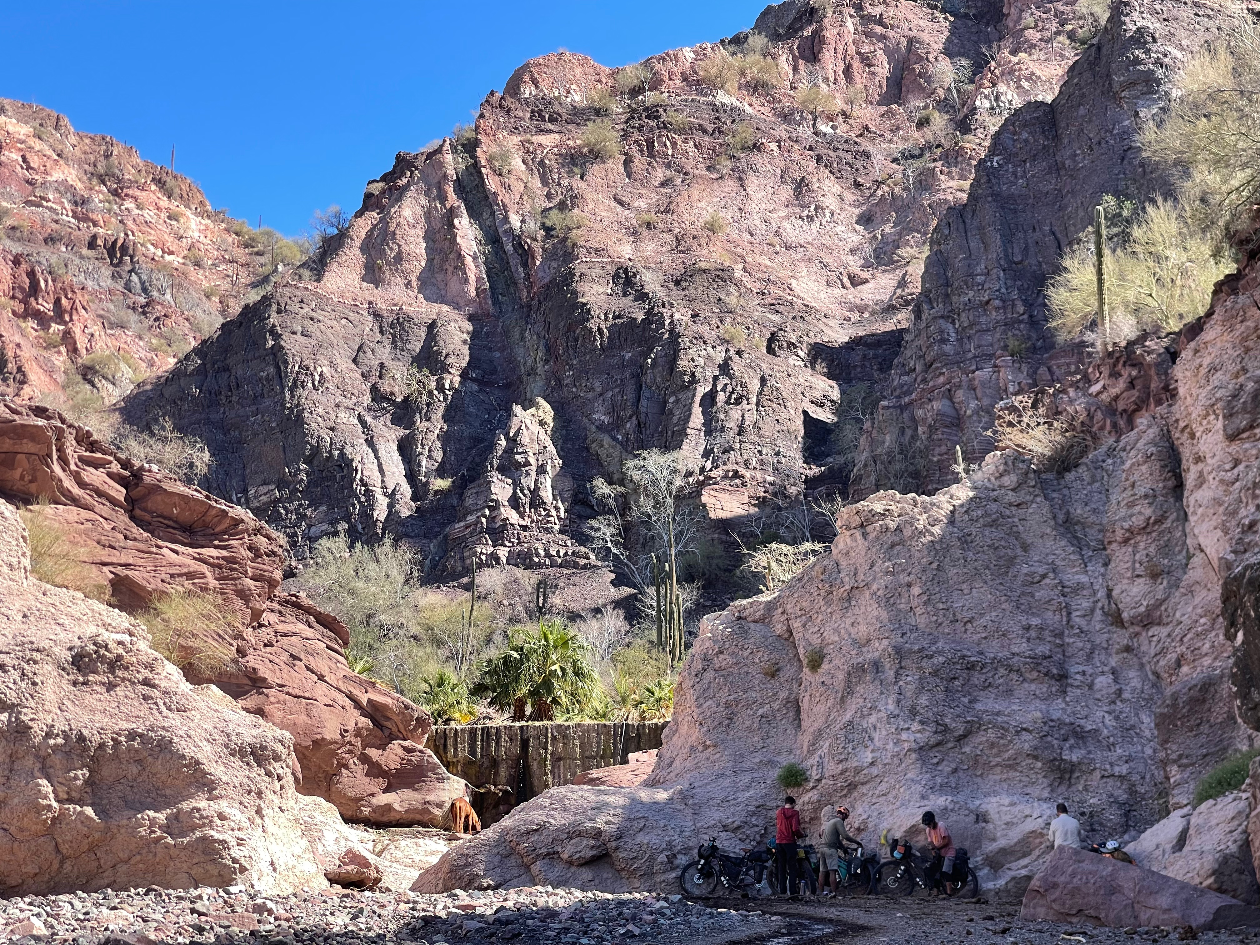 bikepackingbaja , baja divide , bikepacking