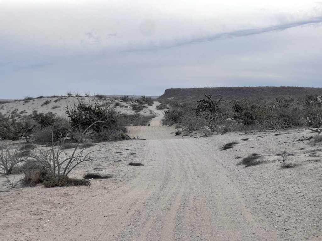 bikepackingbaja , baja divide , bikepacking
