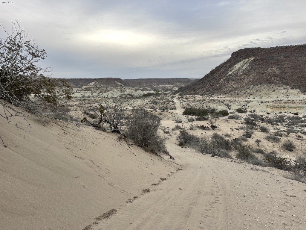 bikepackingbaja , baja divide , bikepacking