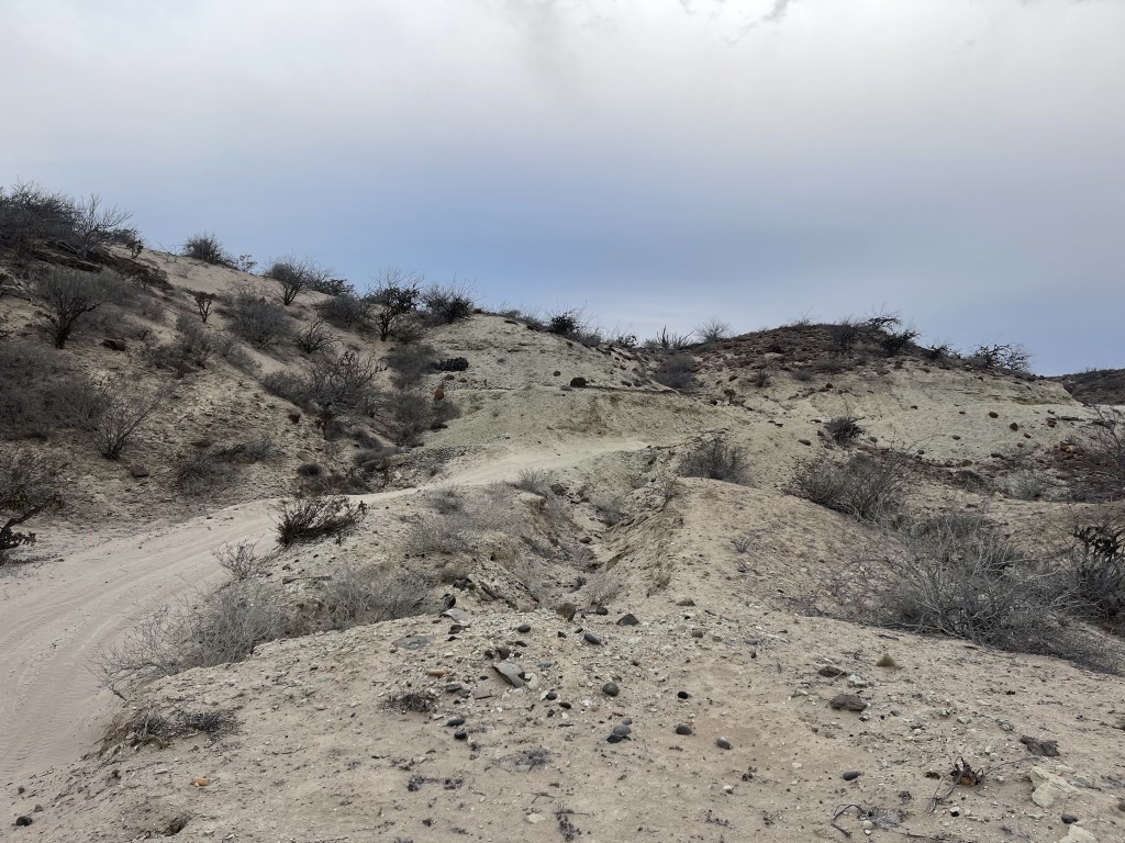 bikepackingbaja , baja divide , bikepacking