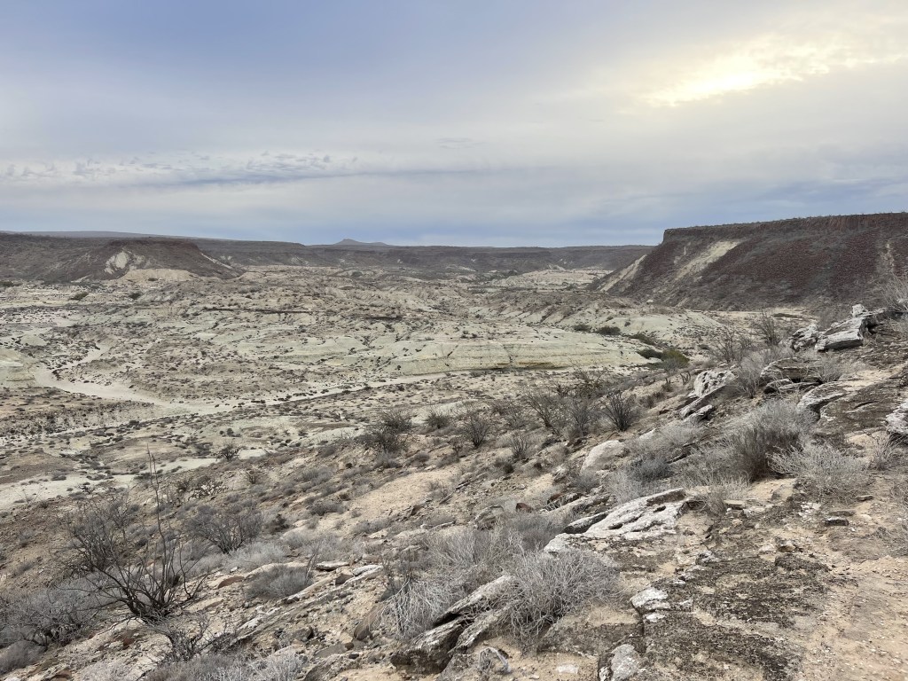 bikepackingbaja , baja divide , bikepacking
