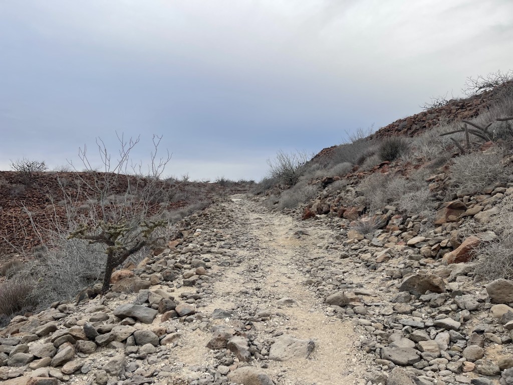 bikepackingbaja , baja divide , bikepacking