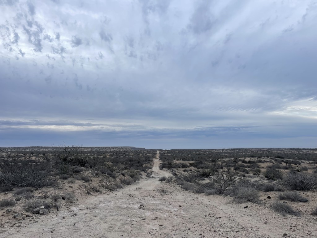 bikepackingbaja , baja divide , bikepacking